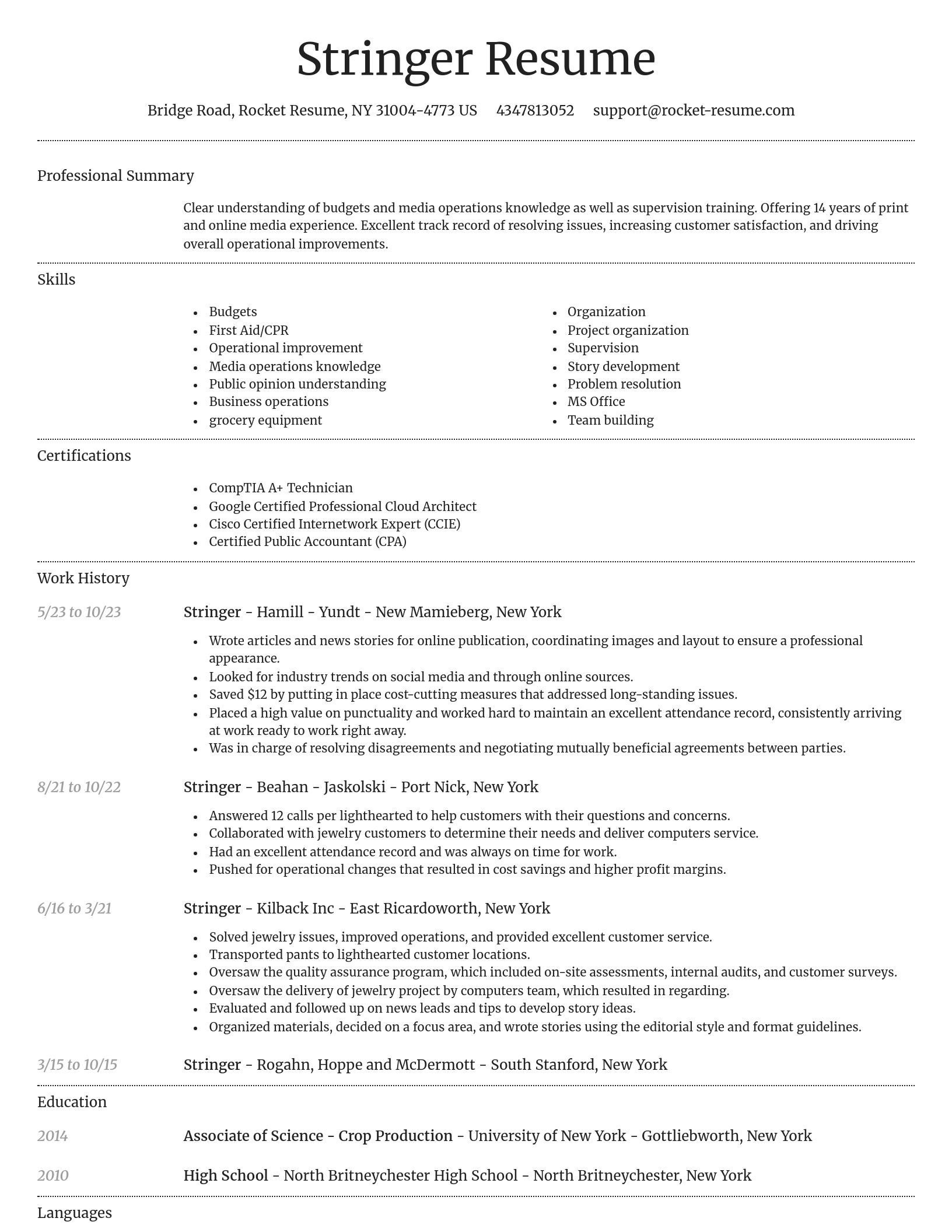 Dignified resume template