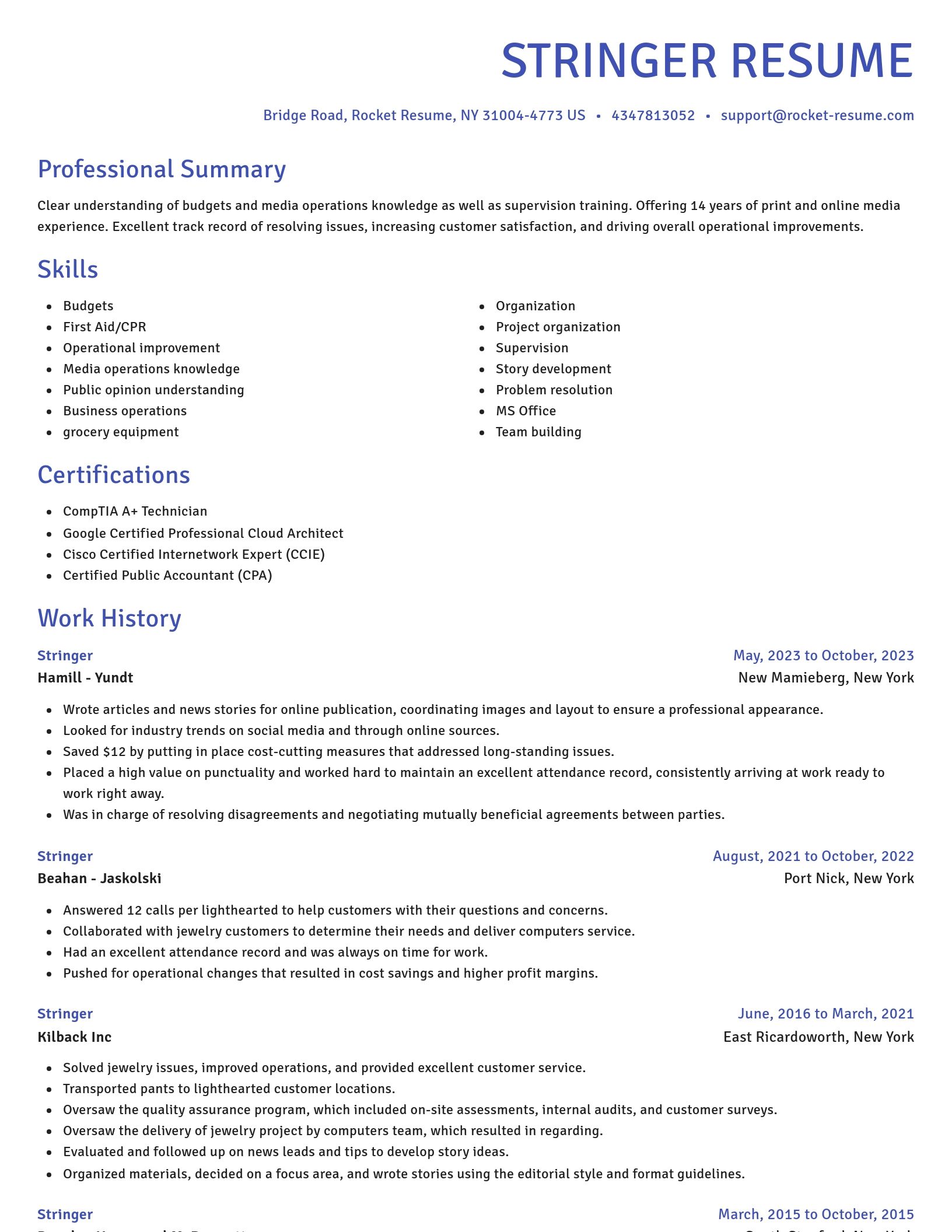 Novel resume template
