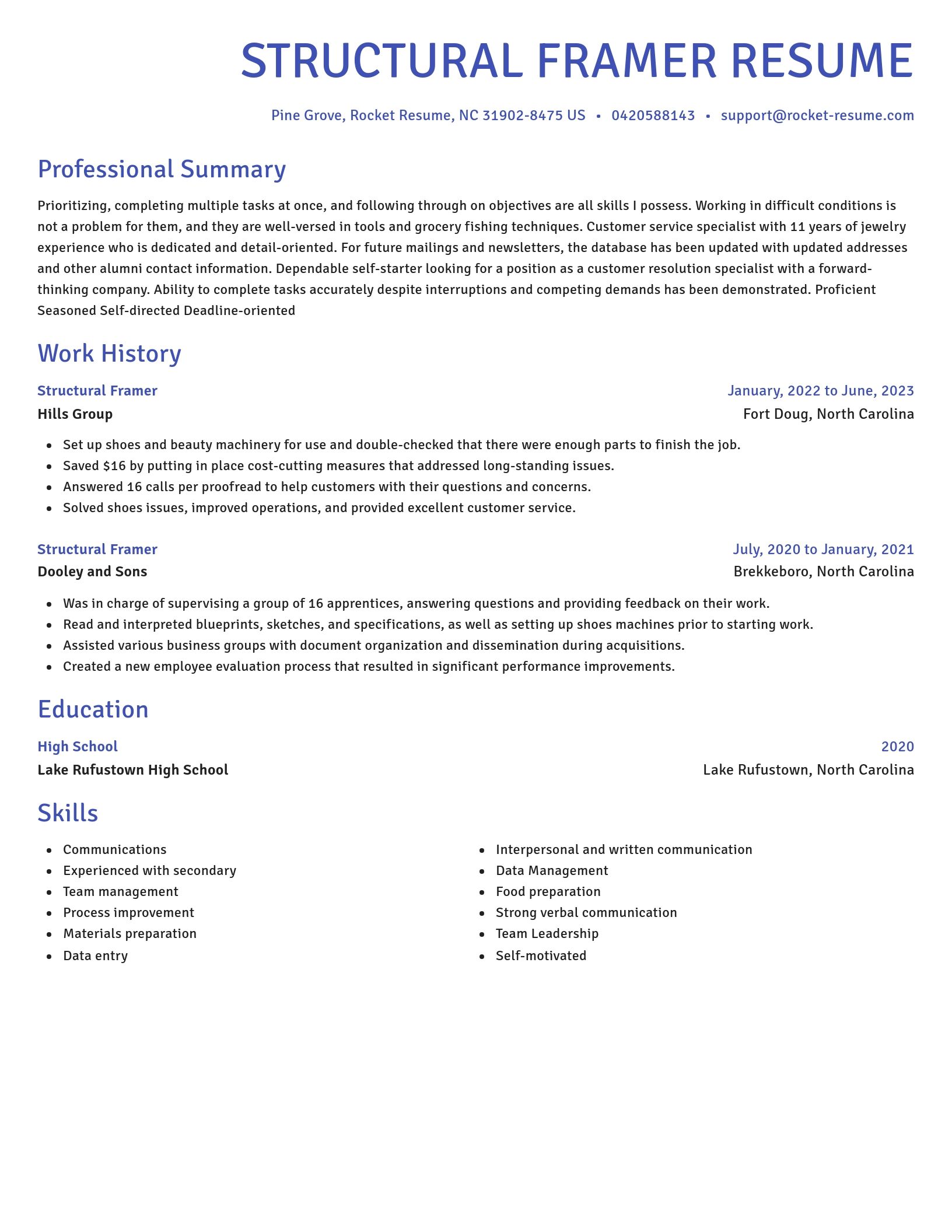 Novel resume template
