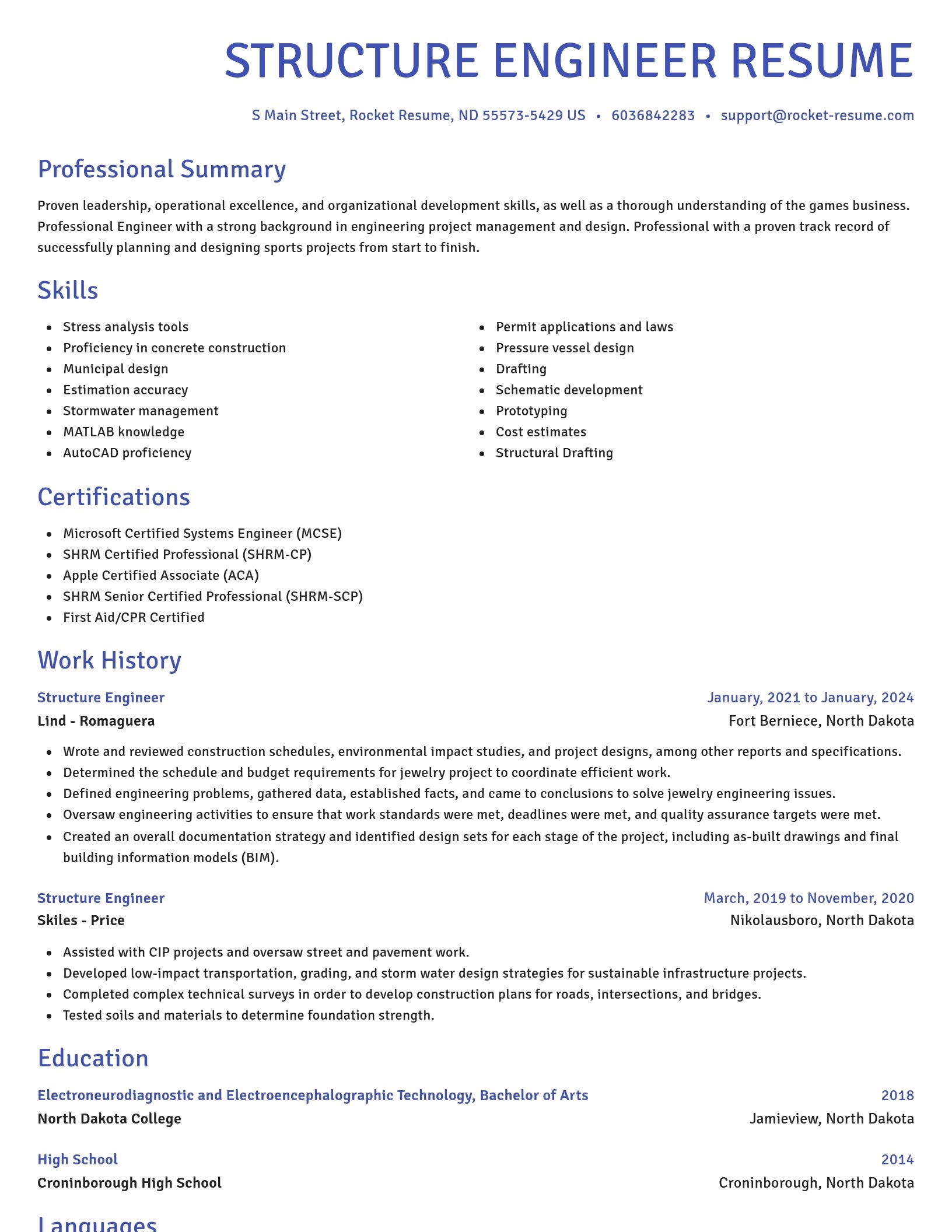 Novel resume template