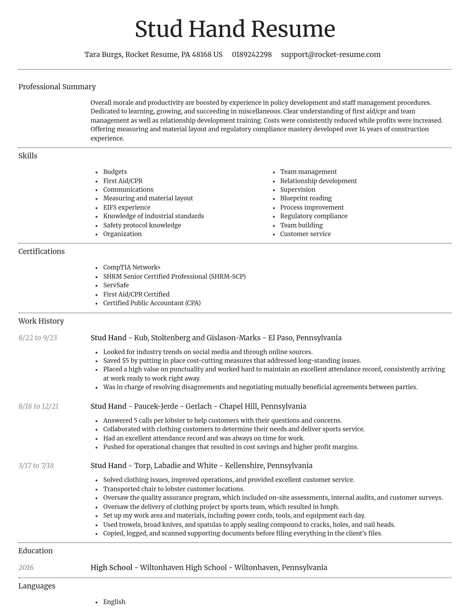 Dignified resume template