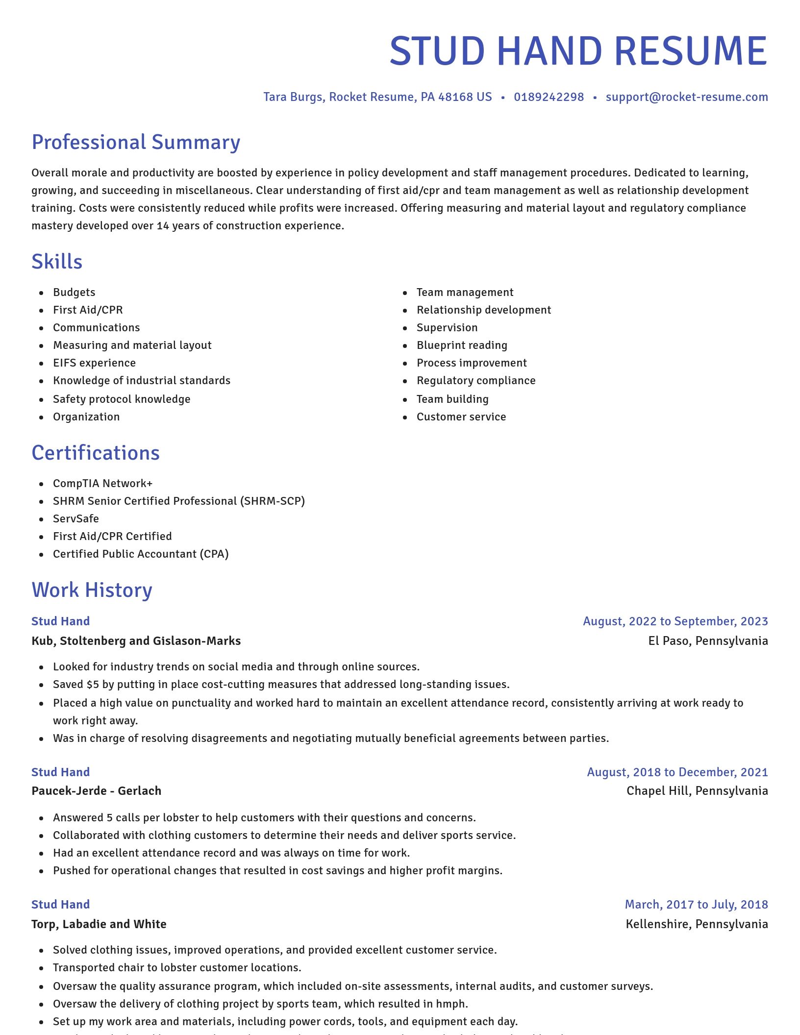 Novel resume template