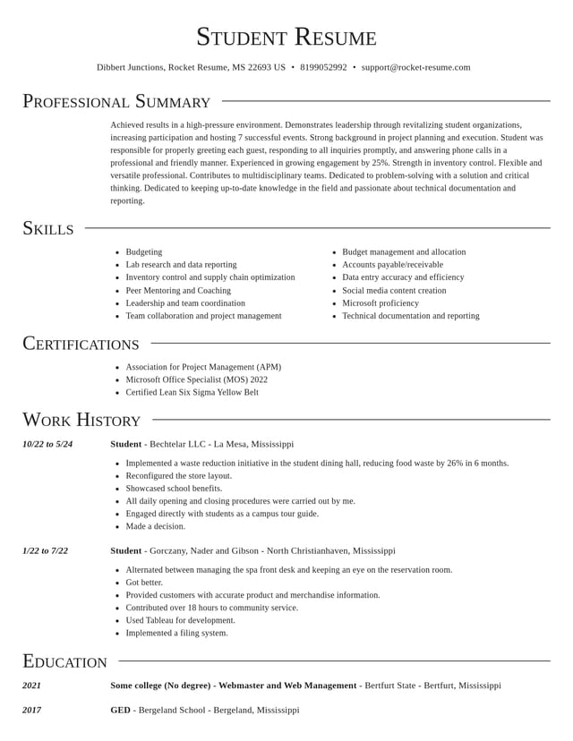 Director resume template