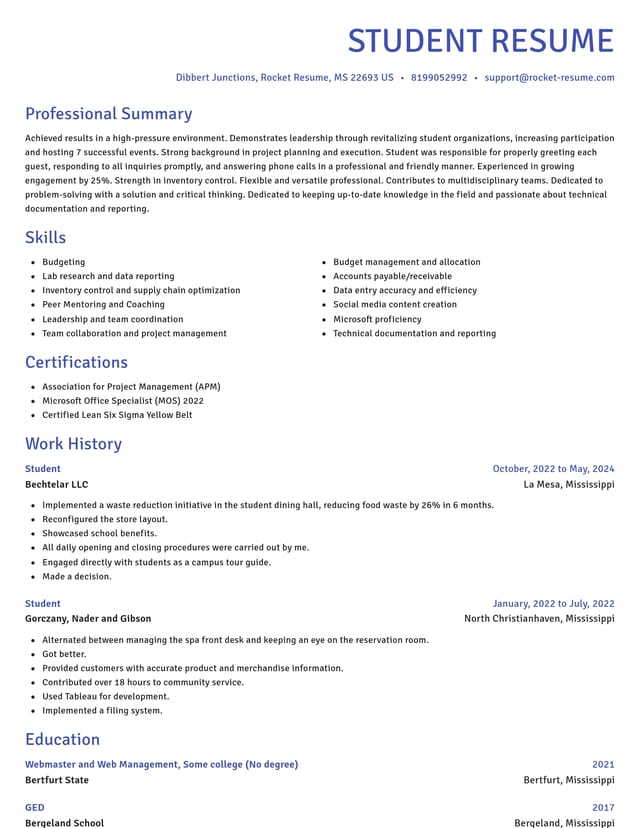 Novel resume template