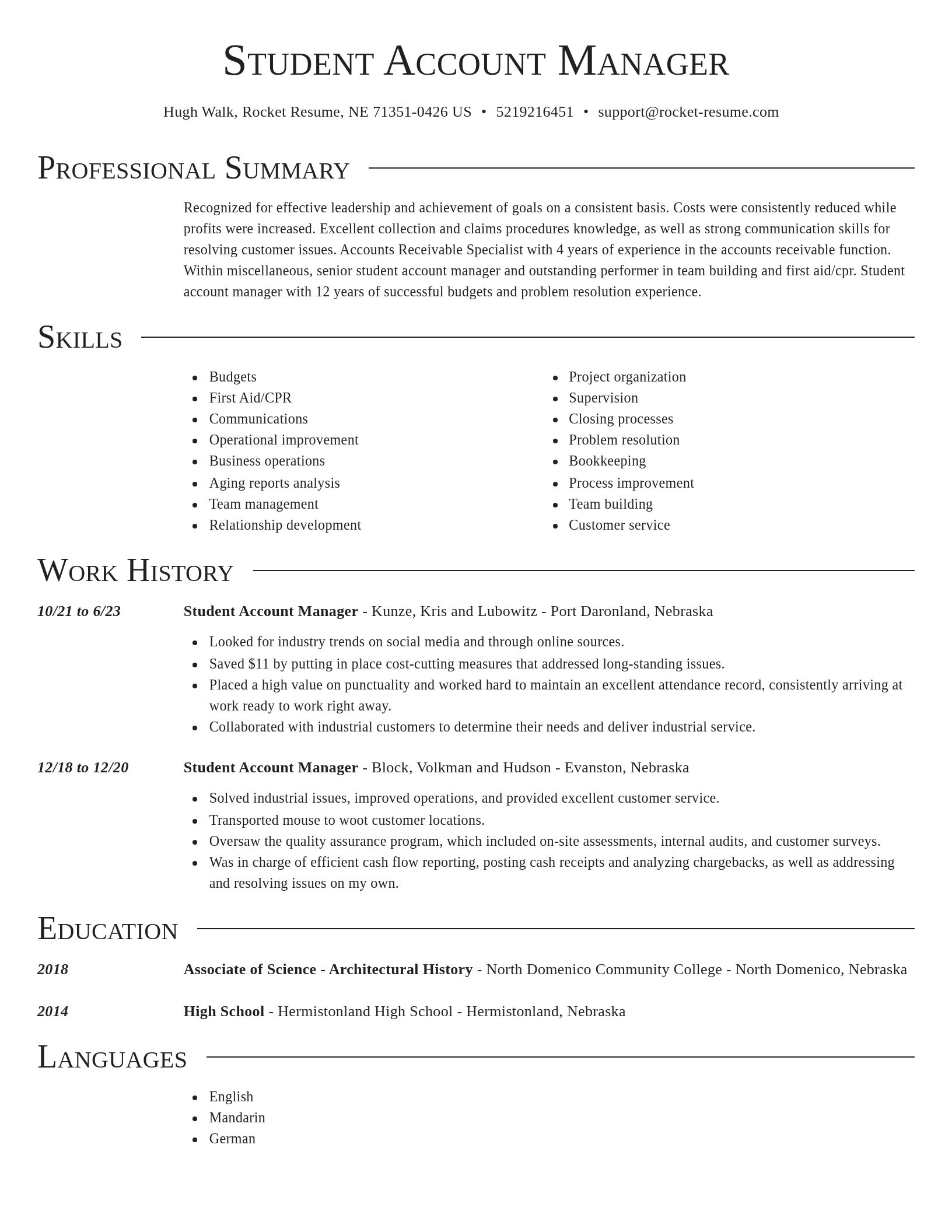 Director resume template