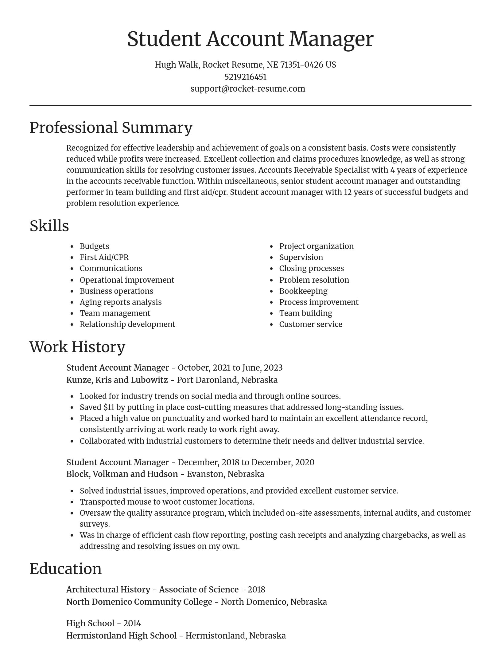 Focal Point resume template
