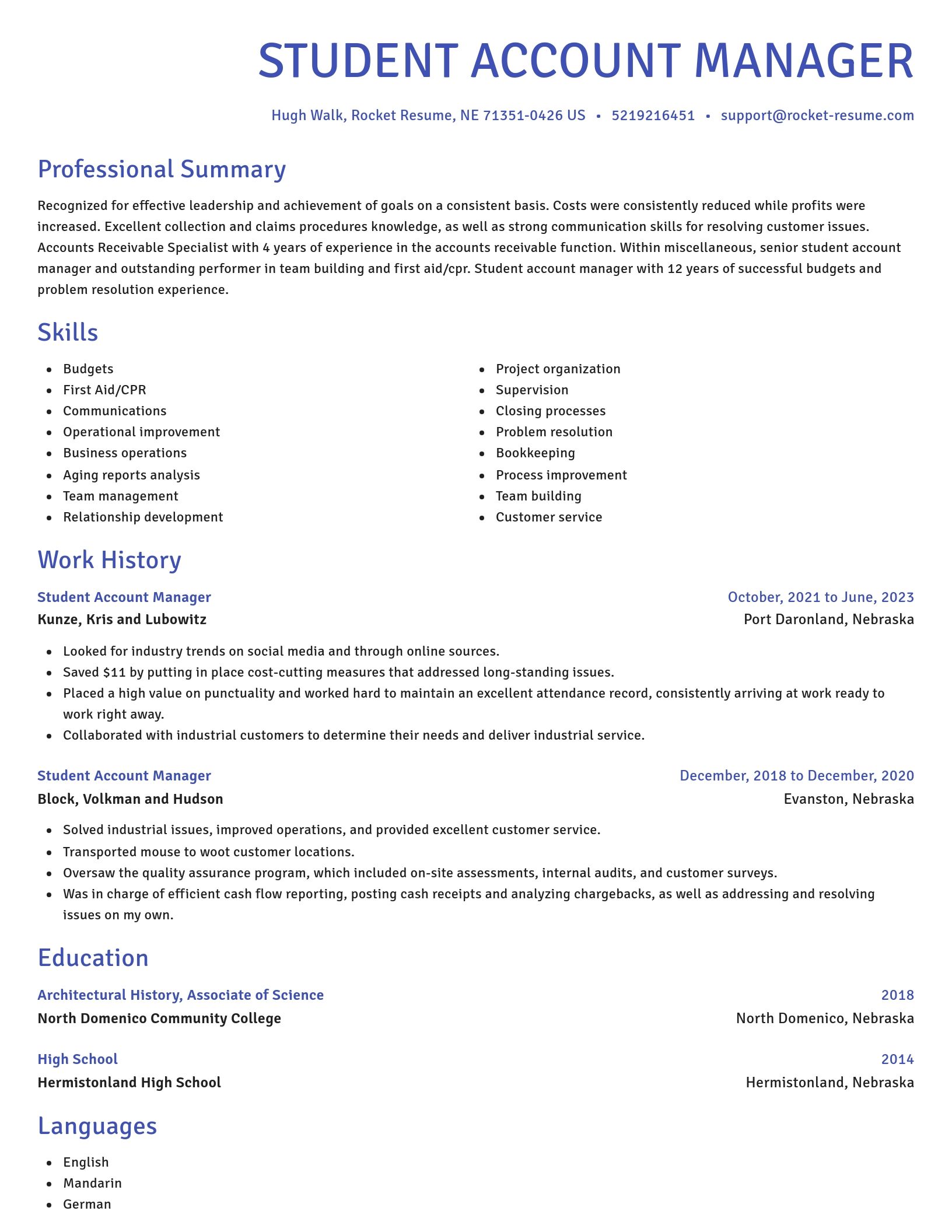 Novel resume template