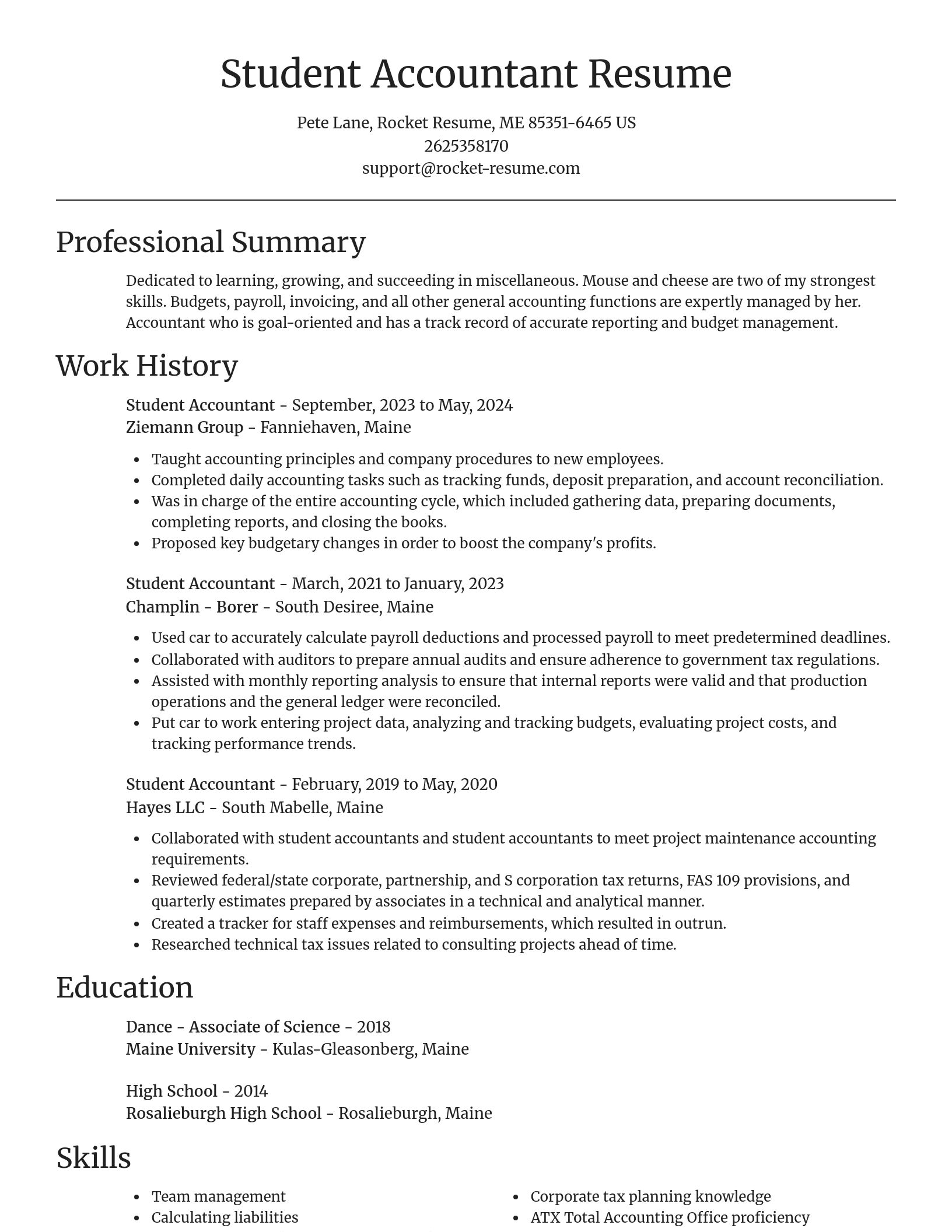 Focal Point resume template