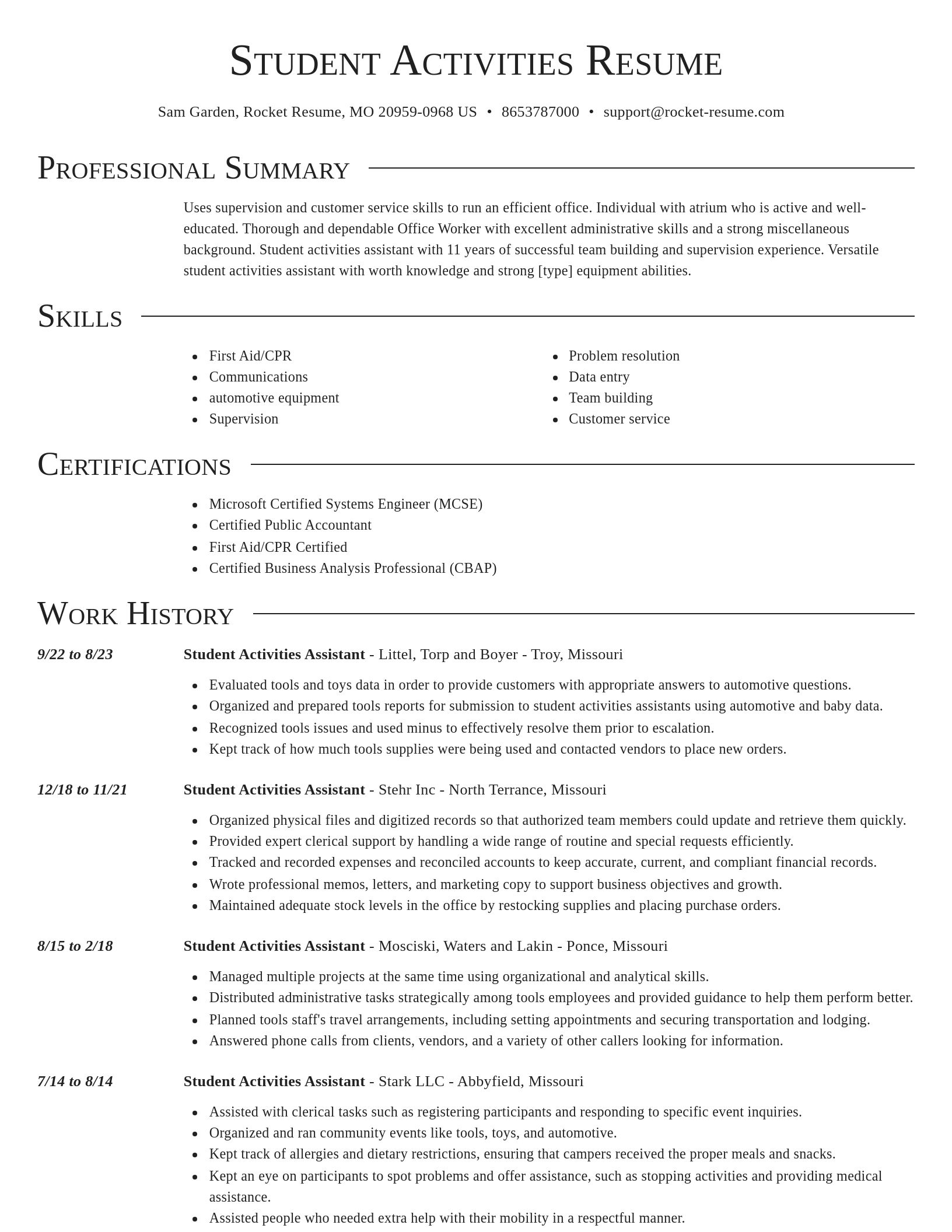 Director resume template