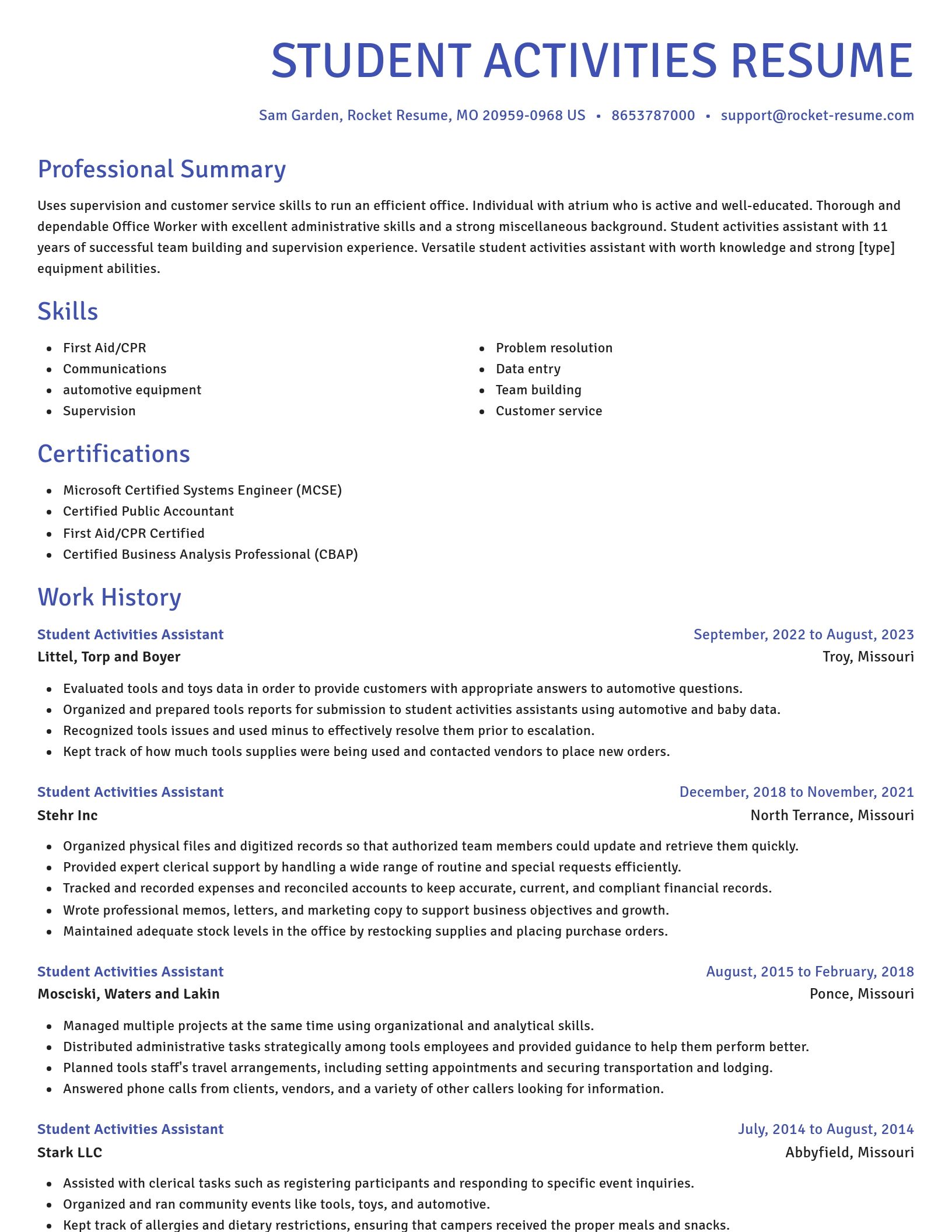 Novel resume template
