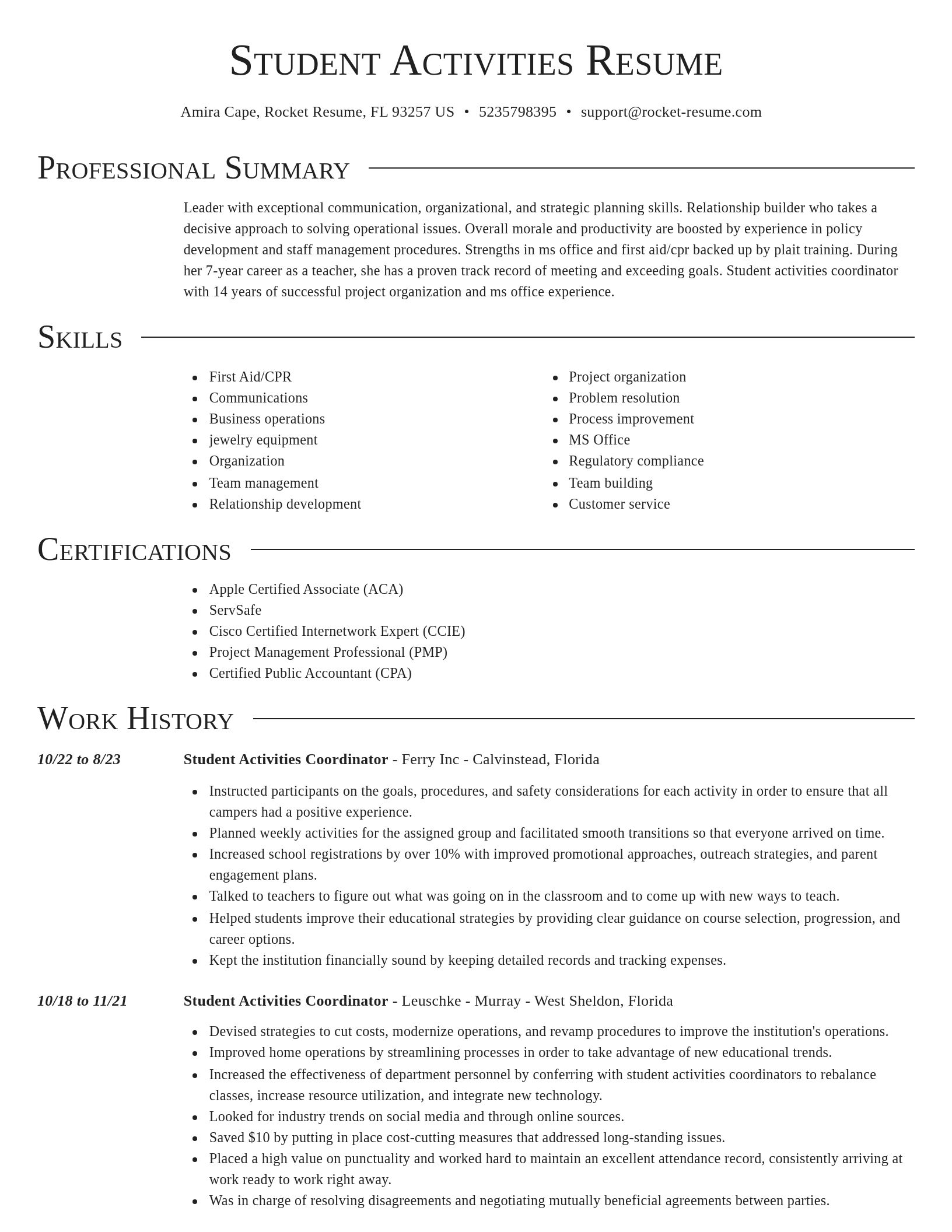 Director resume template