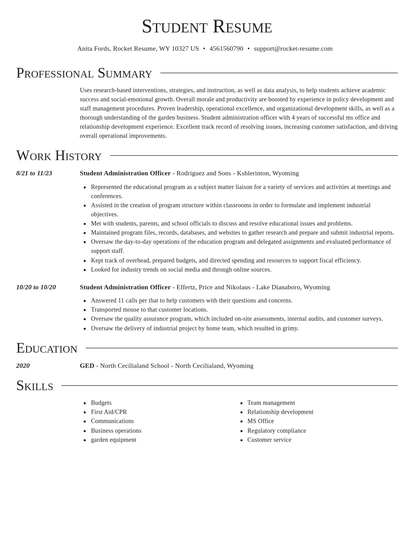 Director resume template