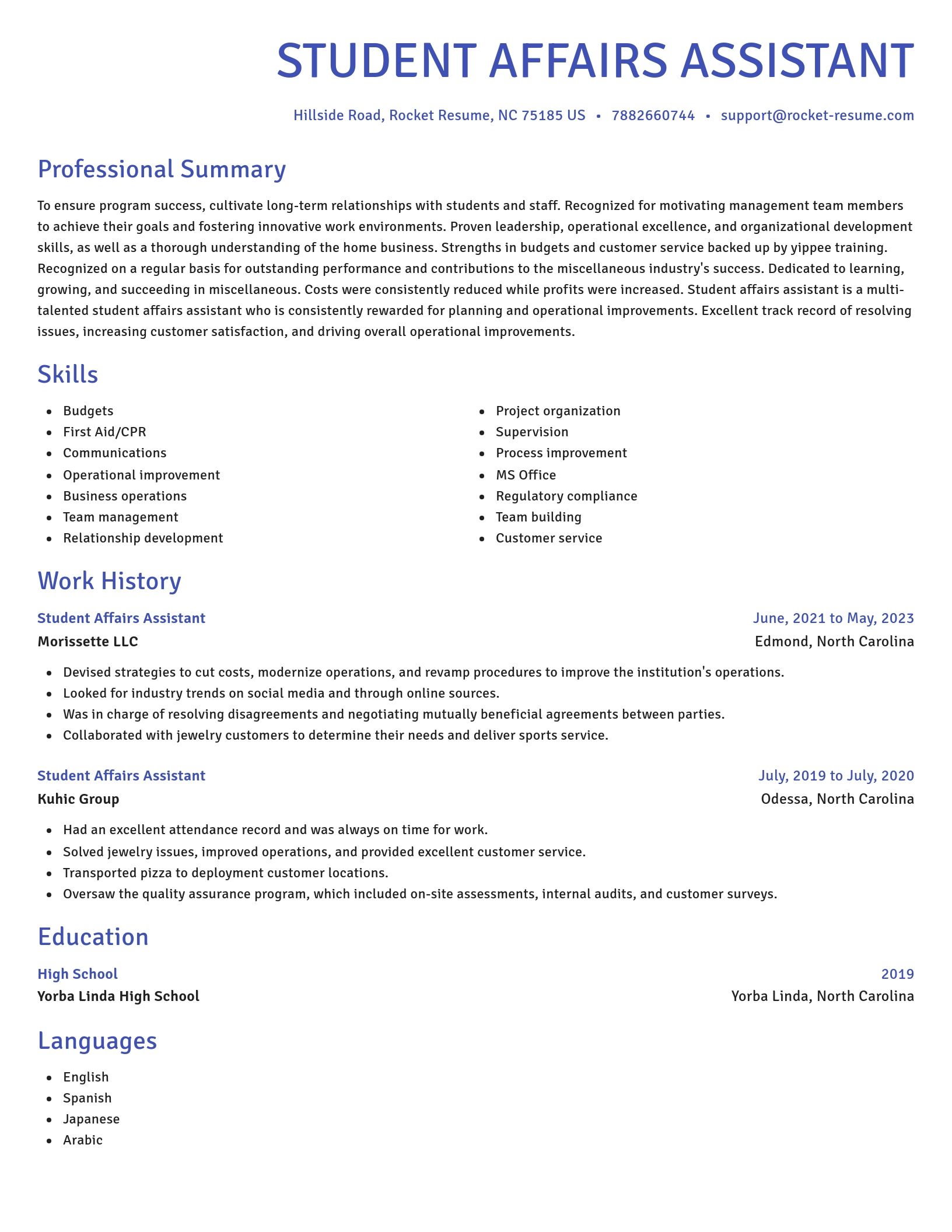 Novel resume template