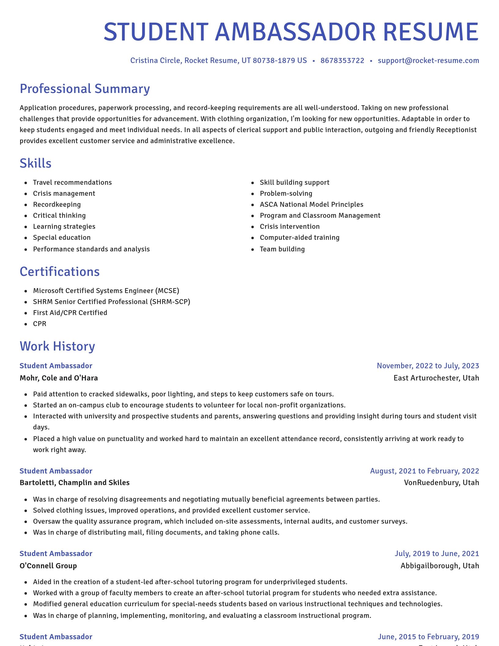 Novel resume template