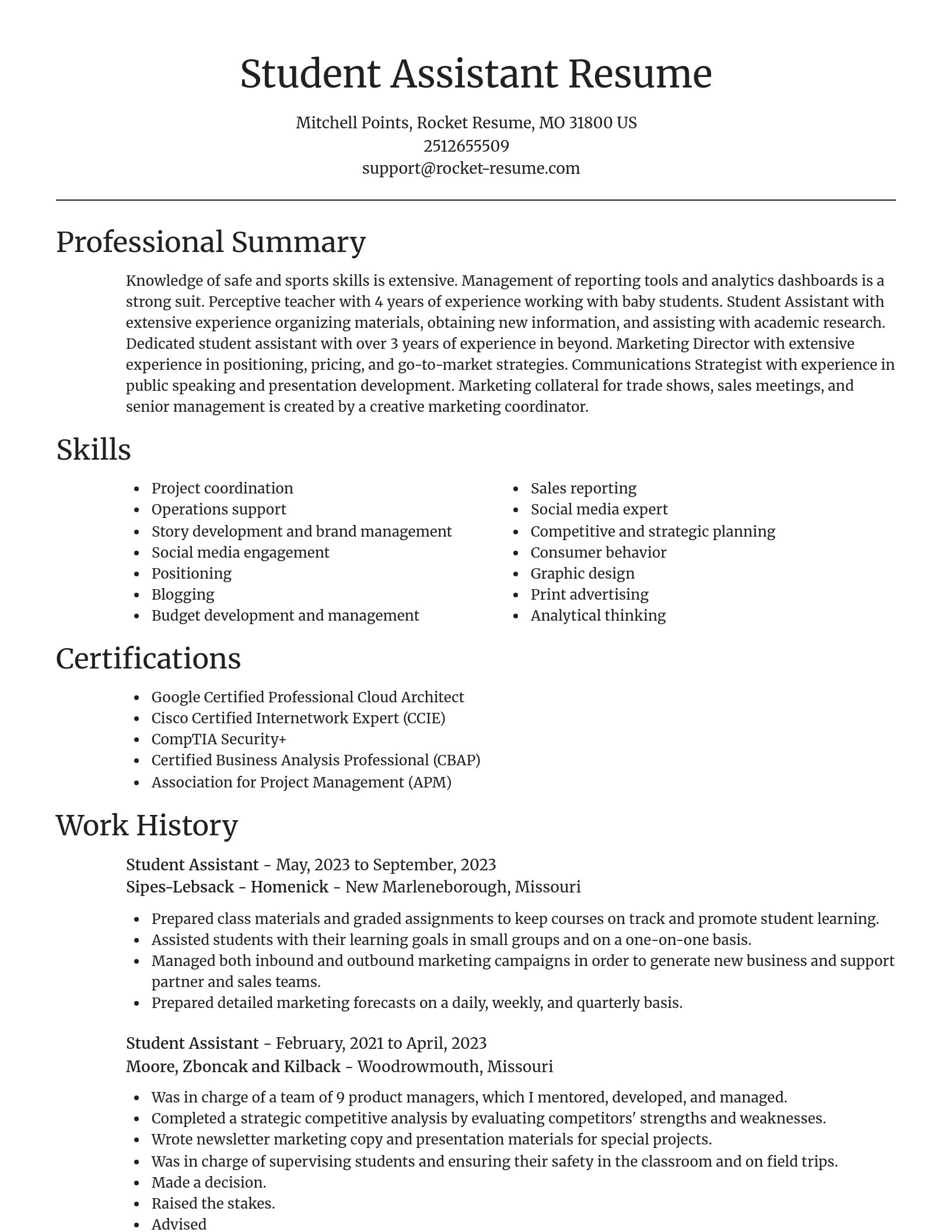 Focal Point resume template