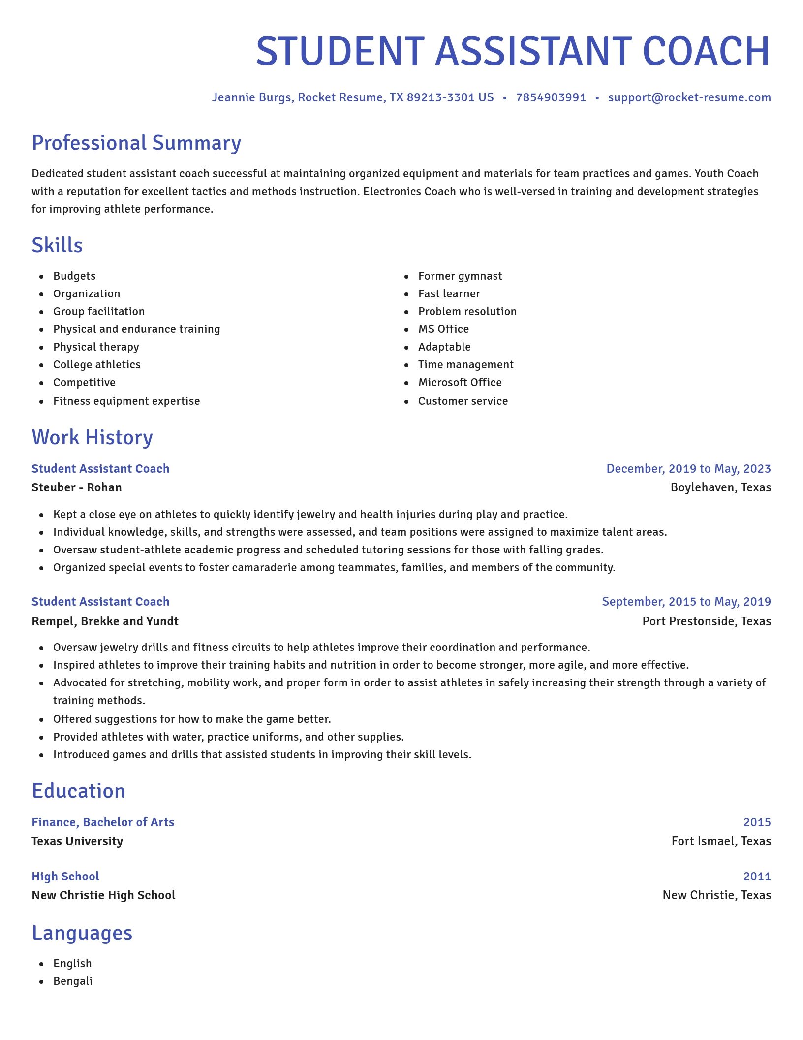 Novel resume template