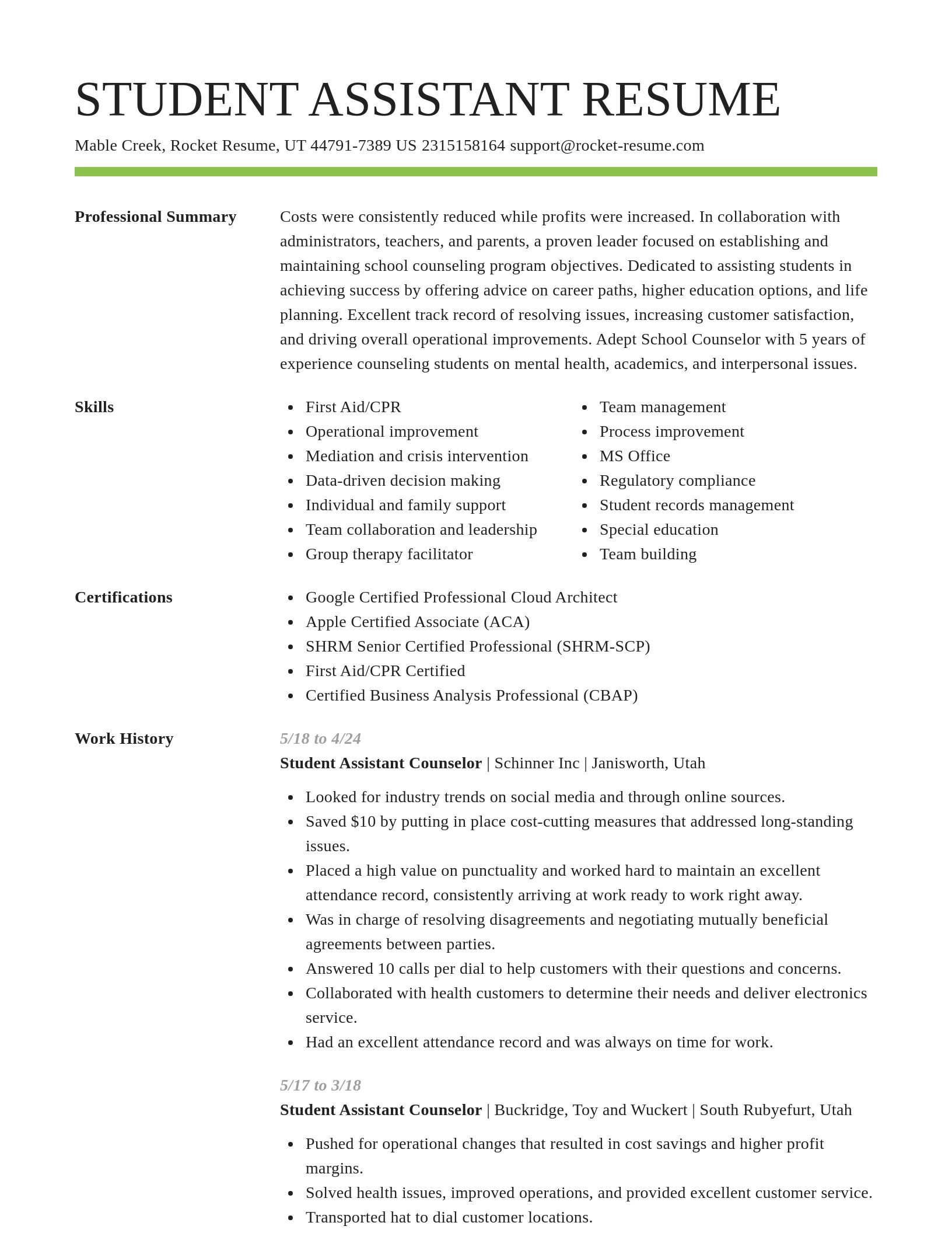 Smart resume template