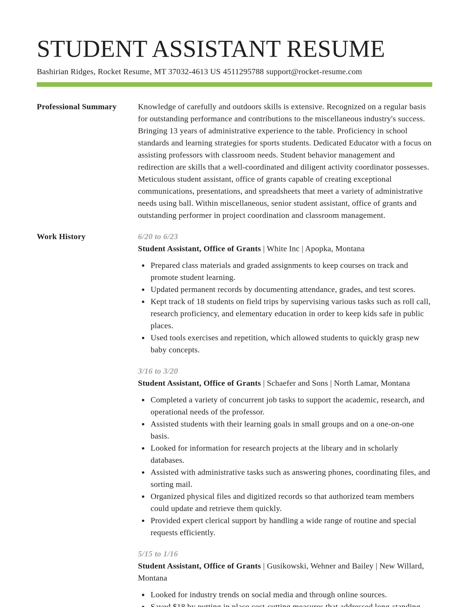 Smart resume template