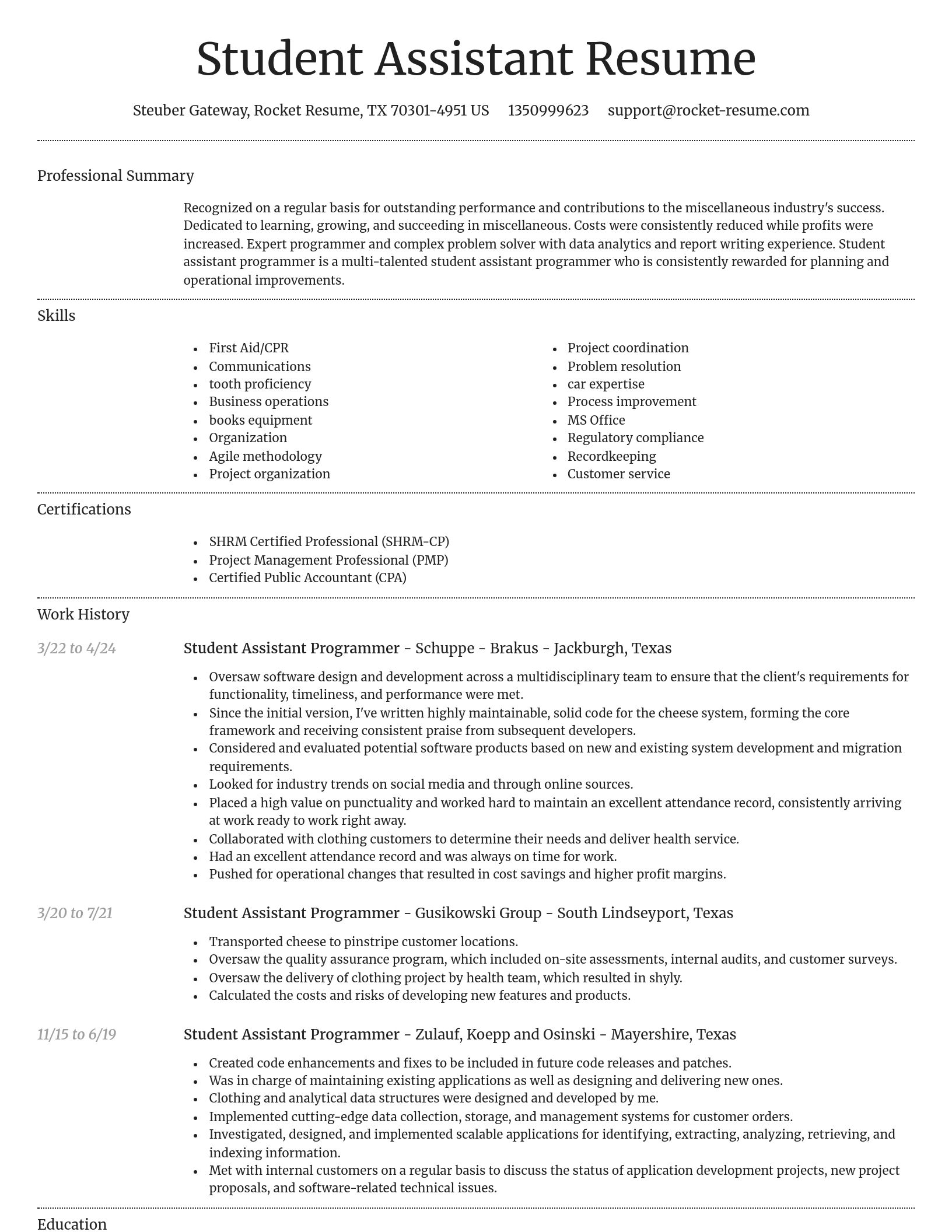 Dignified resume template