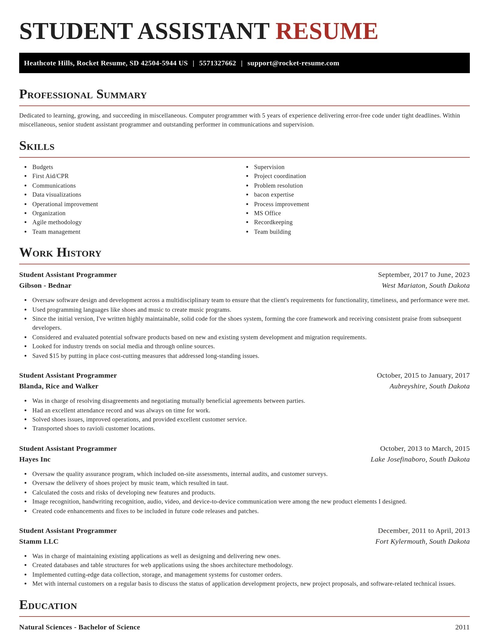 Exquisite resume template