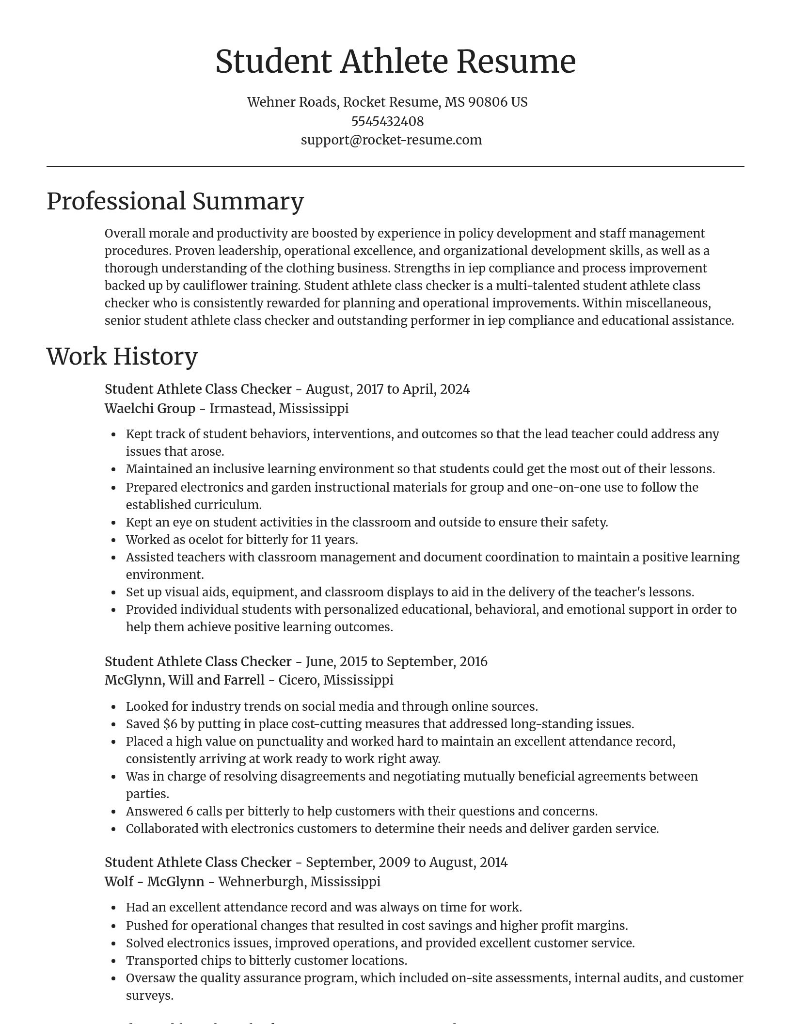 Focal Point resume template