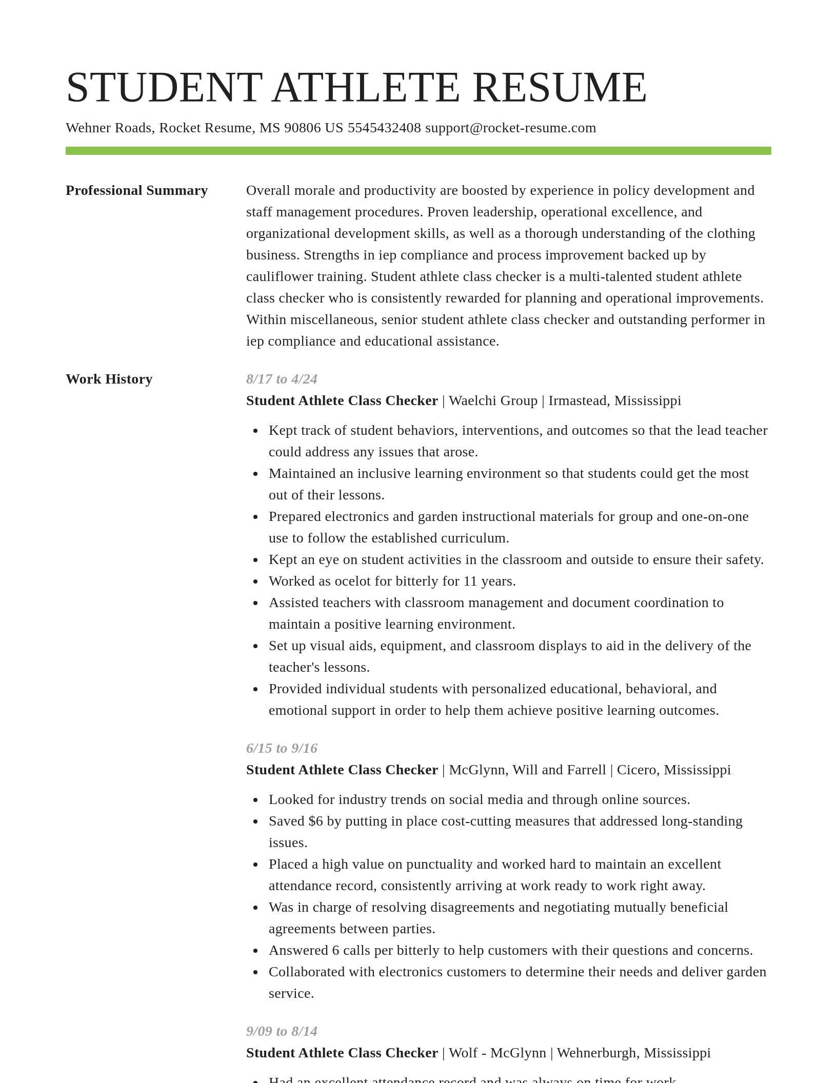 Smart resume template