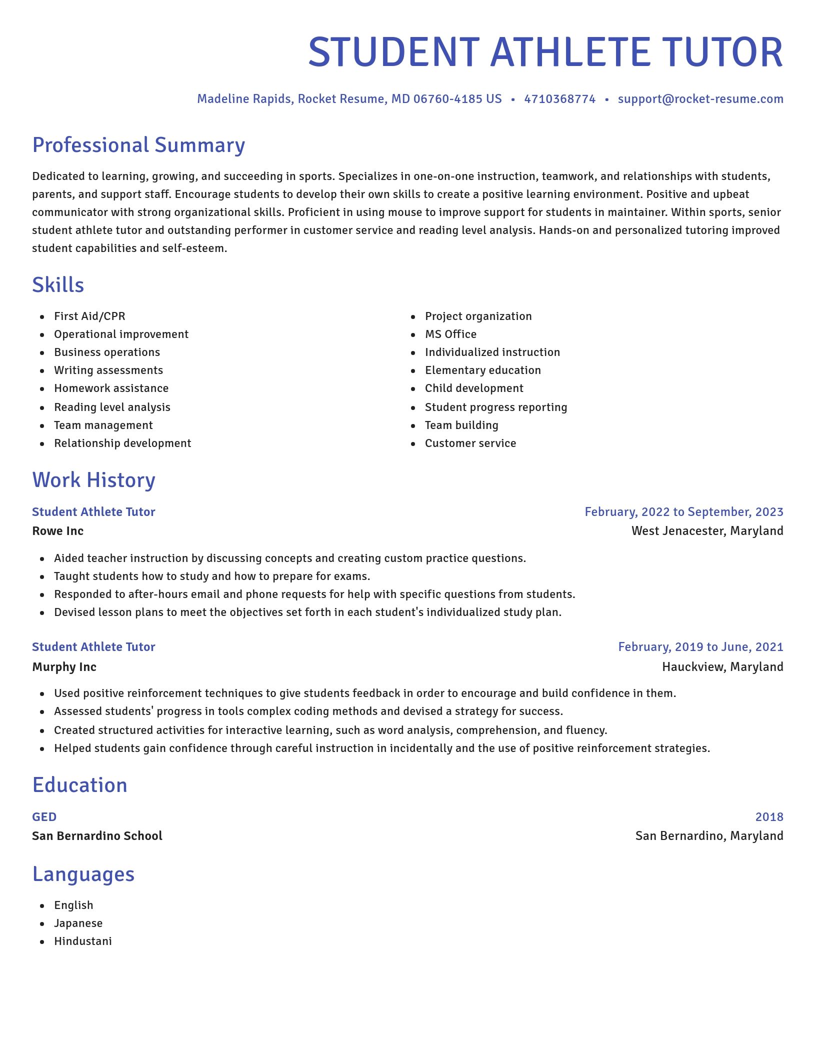Novel resume template