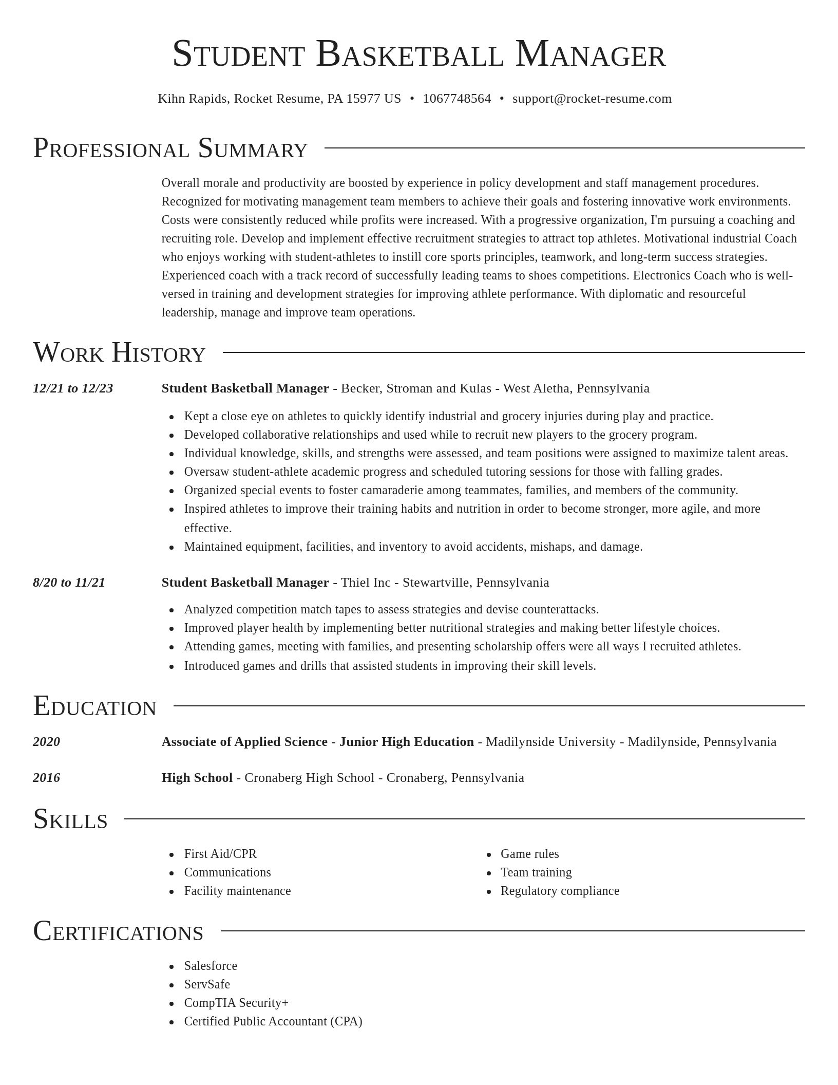 Director resume template