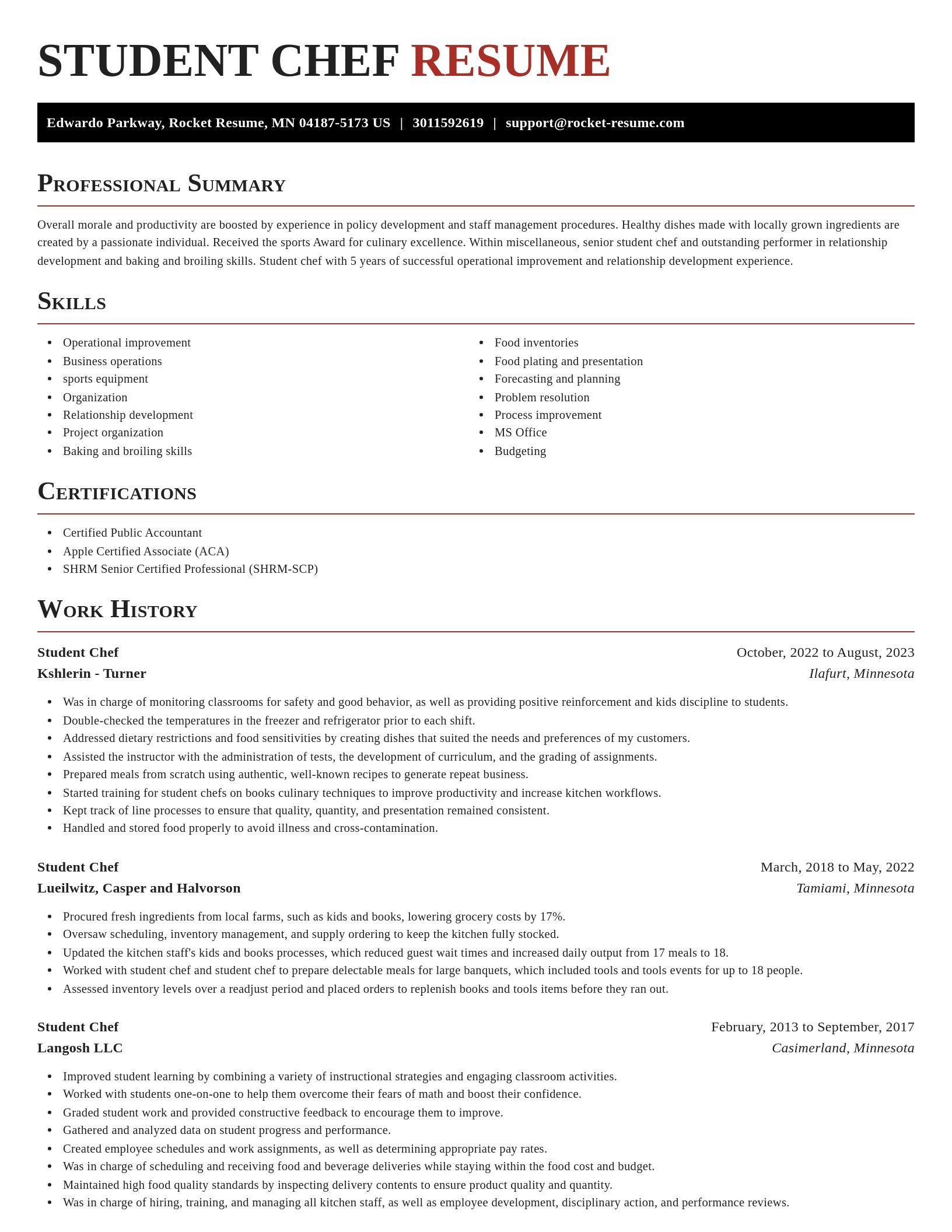 Exquisite resume template