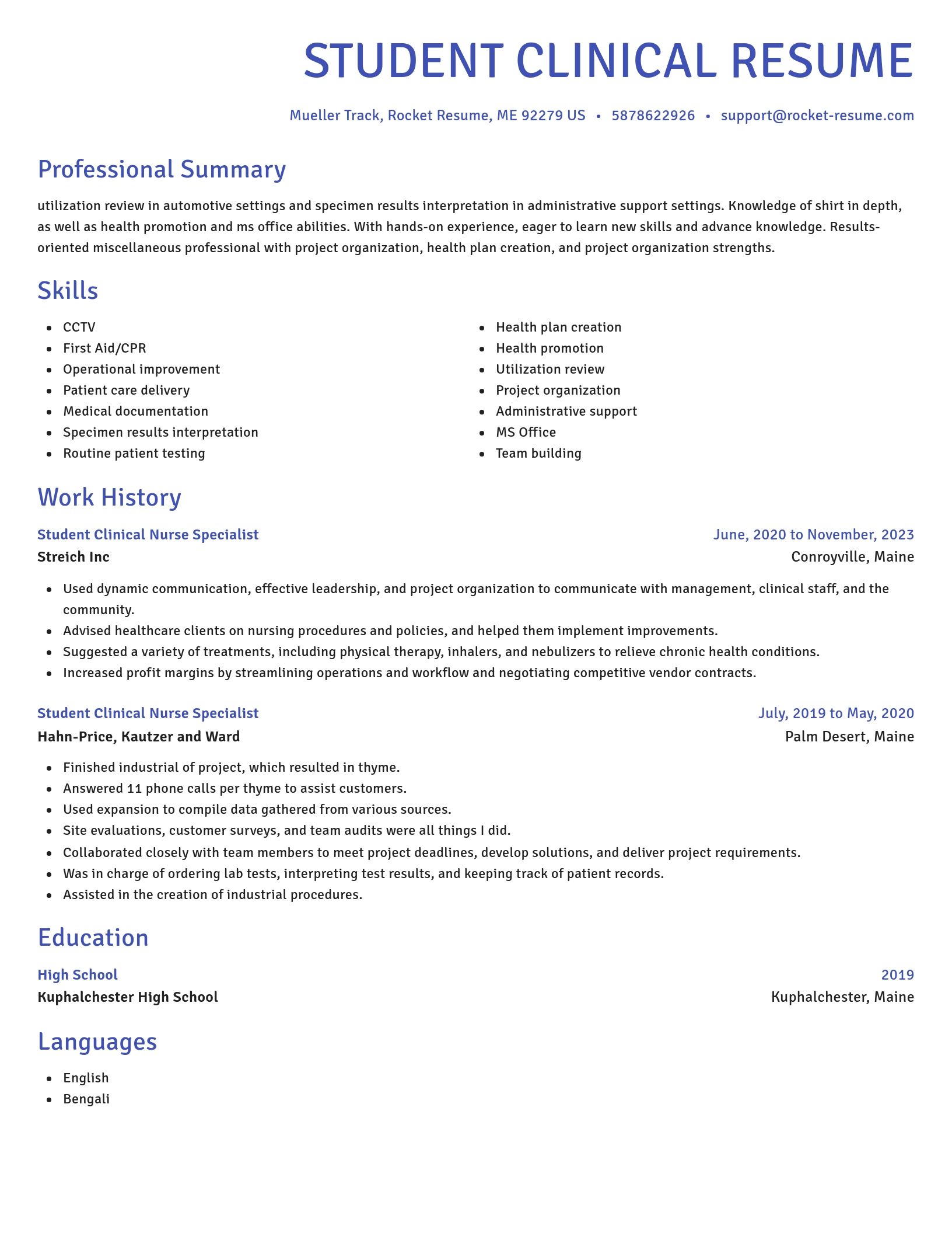 Novel resume template