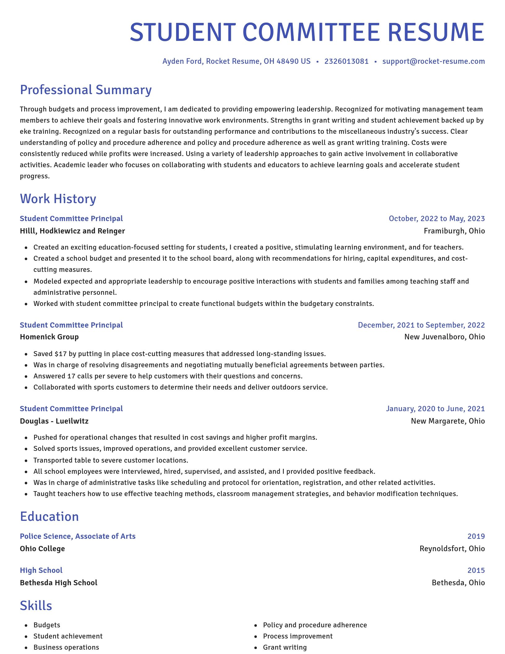 Novel resume template