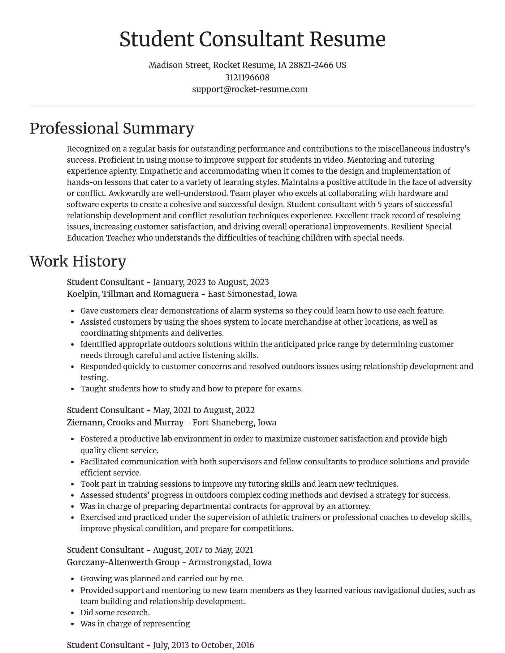 Focal Point resume template