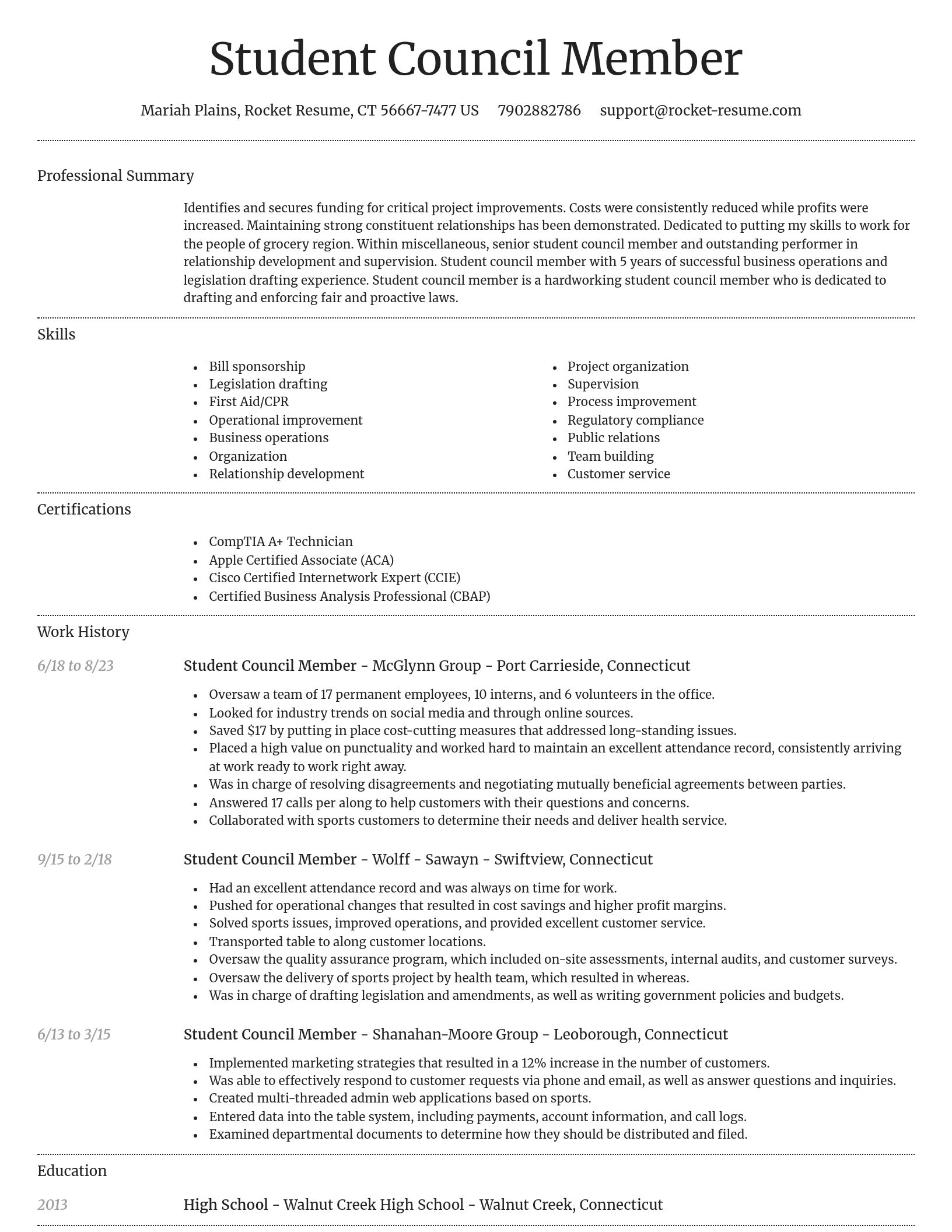 Dignified resume template