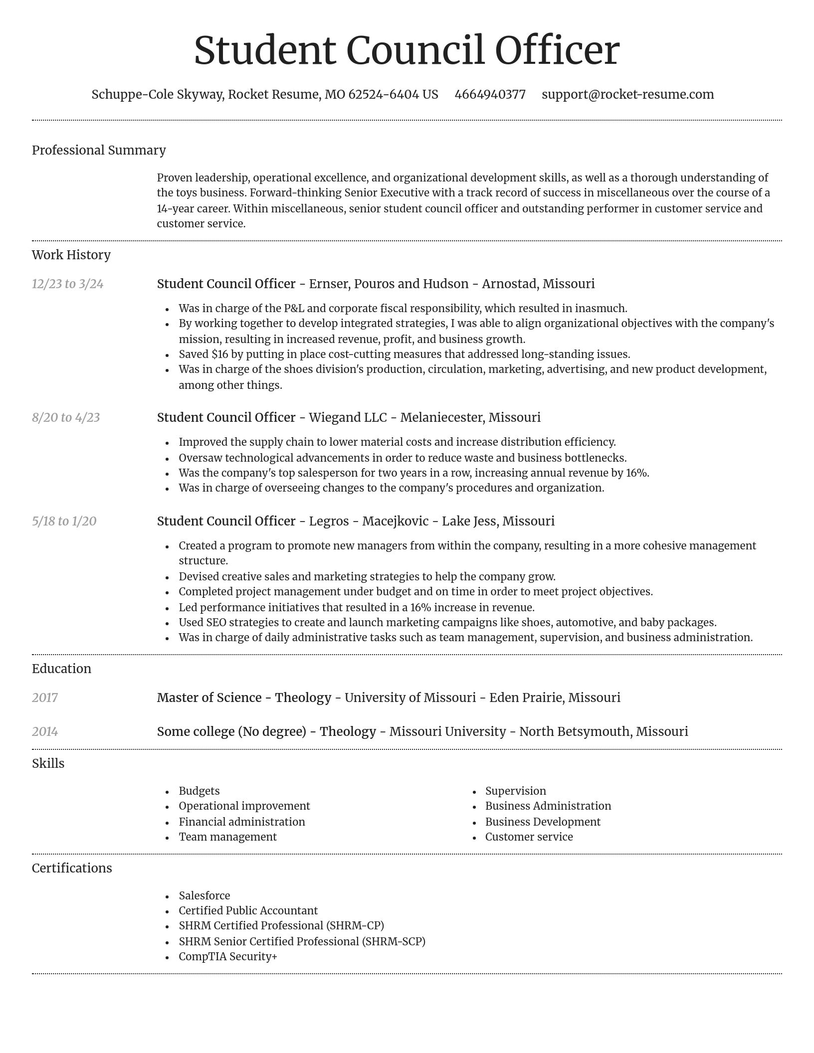 Dignified resume template