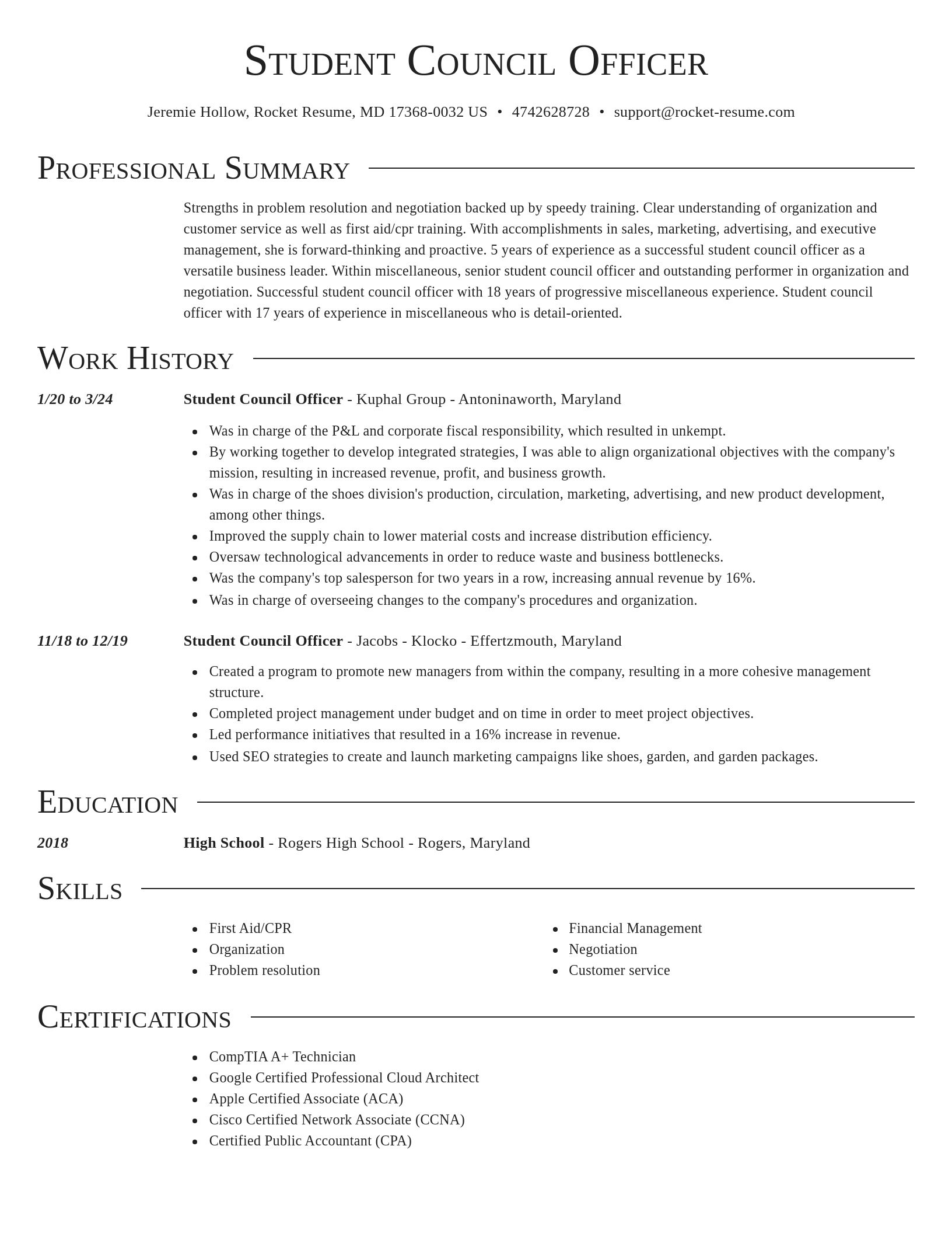 Director resume template