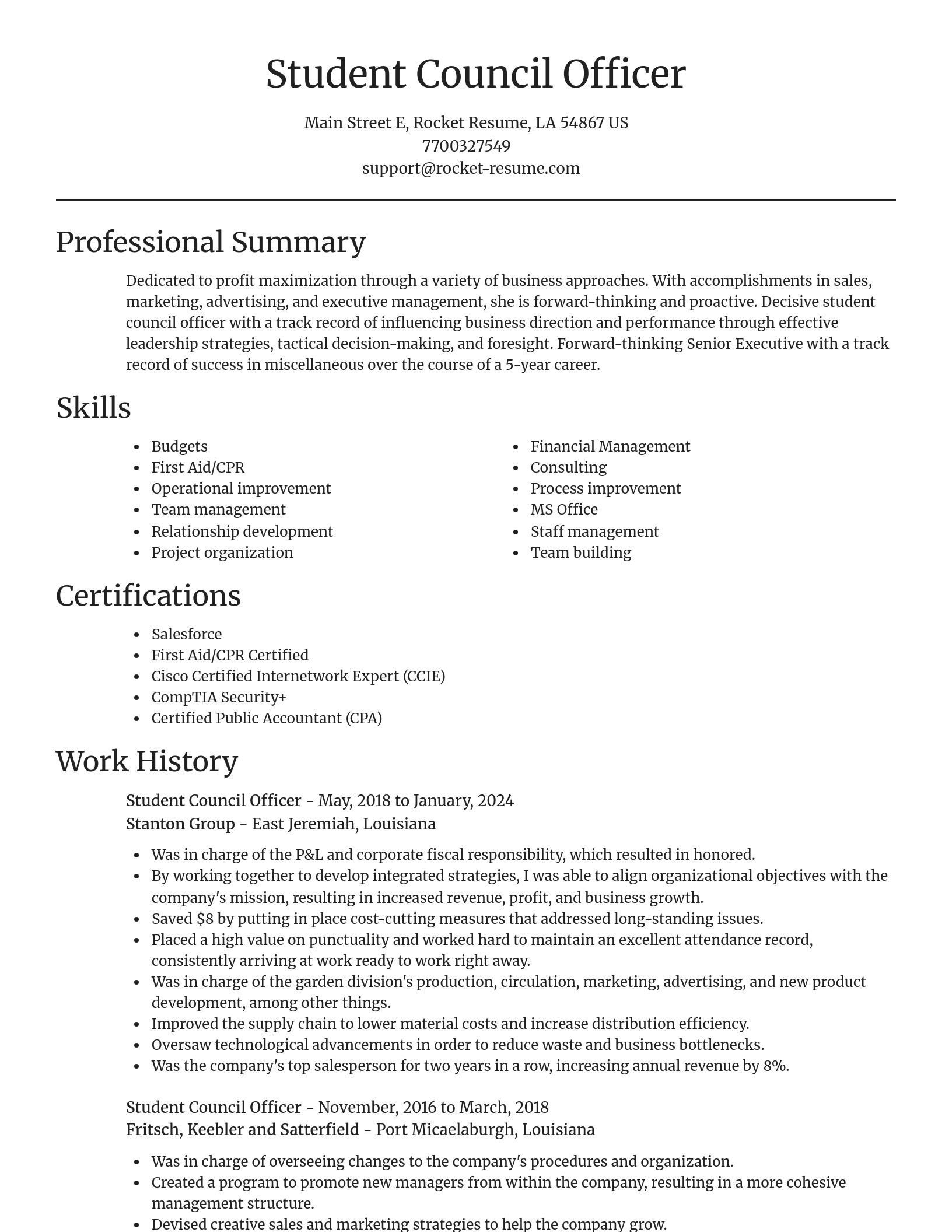 Focal Point resume template