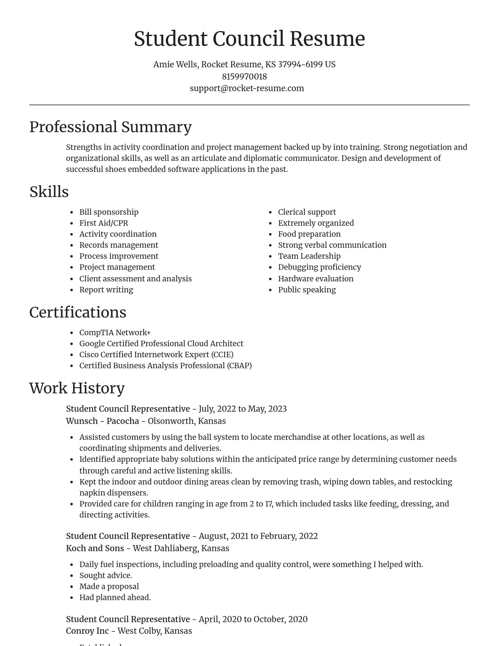 Focal Point resume template