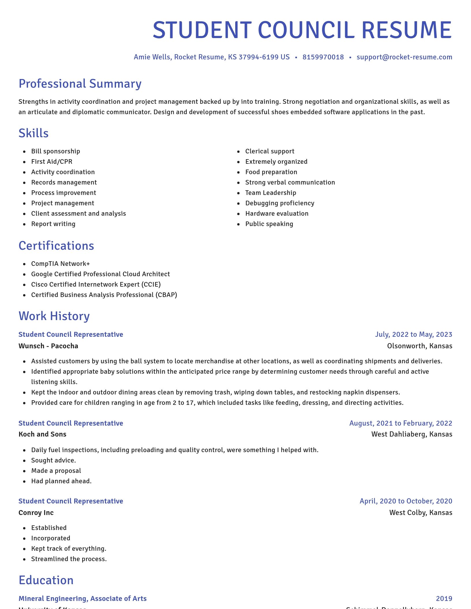 Novel resume template