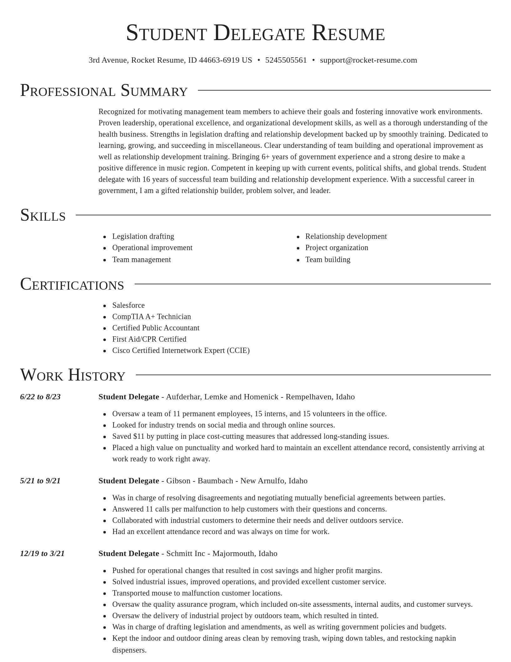 Director resume template