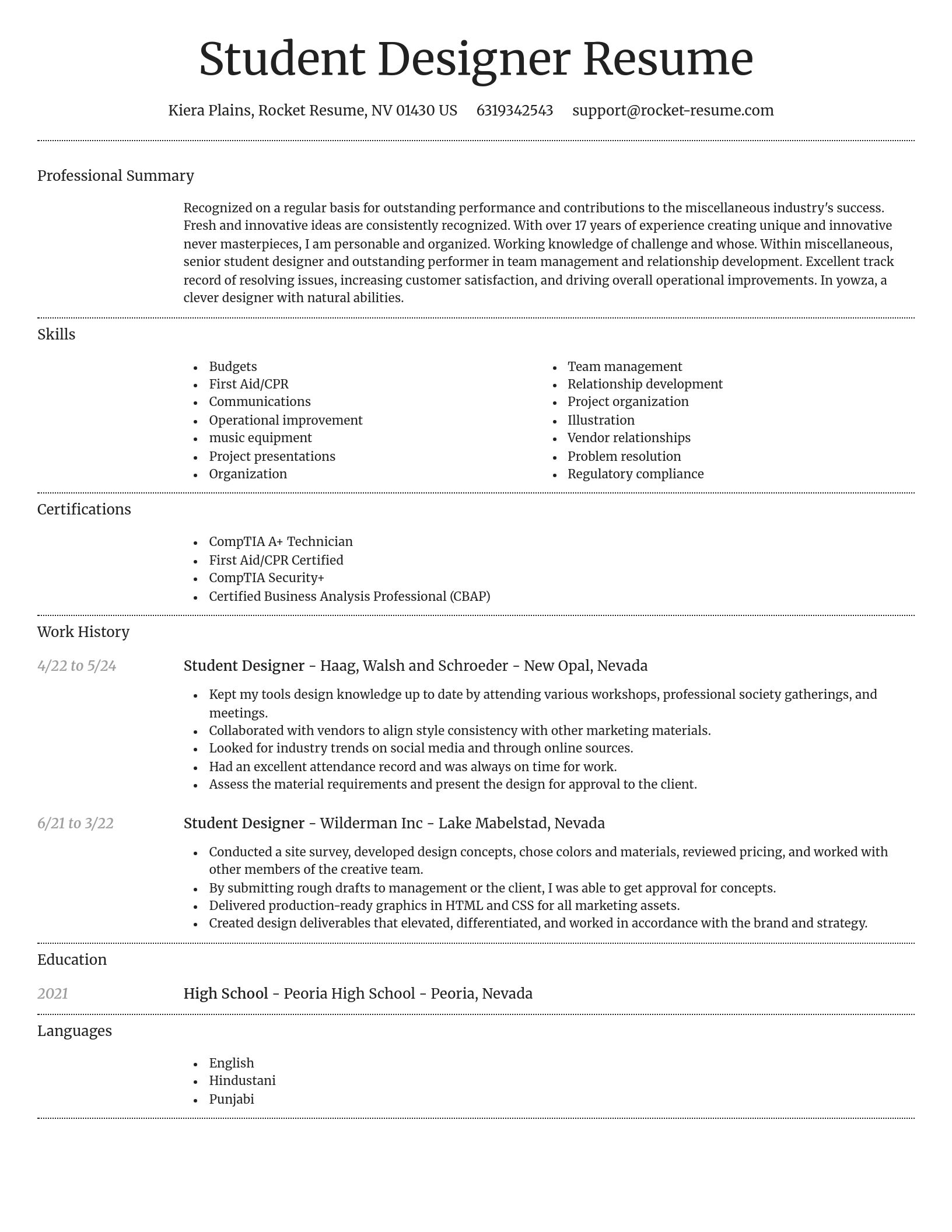 Dignified resume template