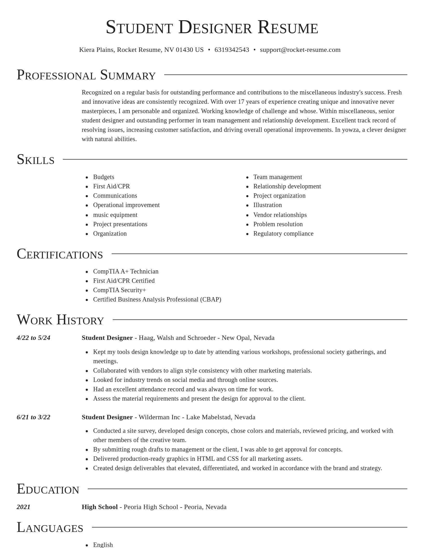 Director resume template