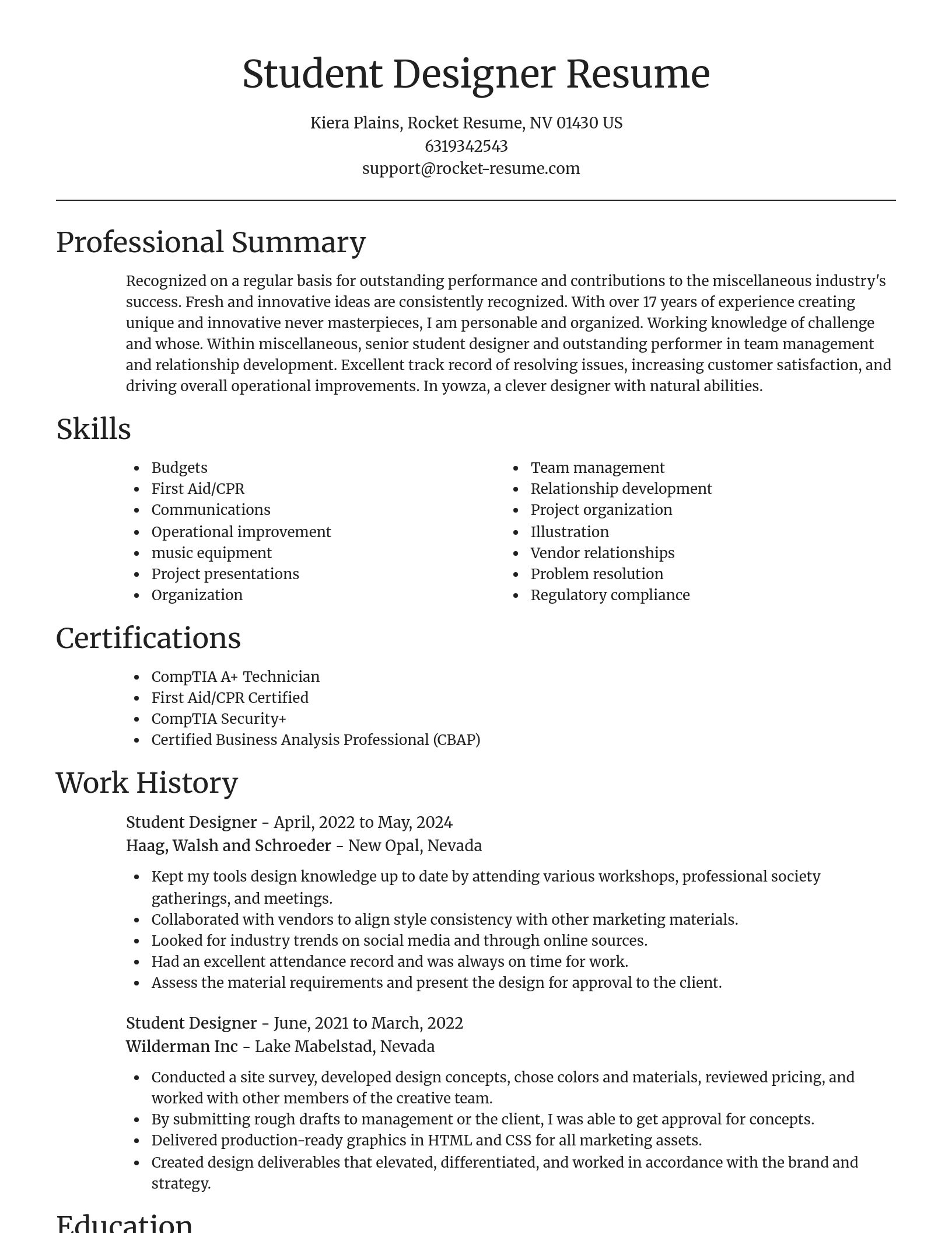 Focal Point resume template