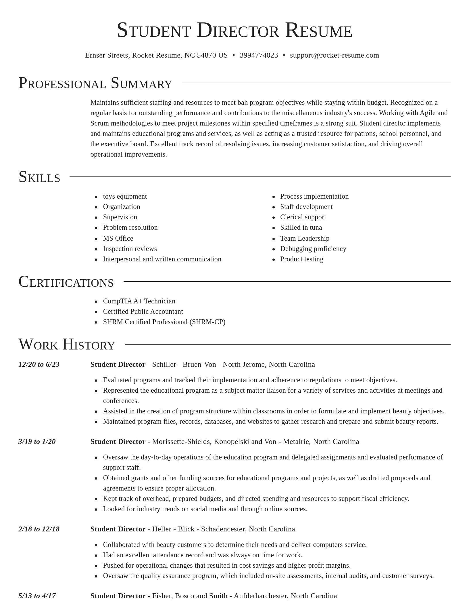 Director resume template