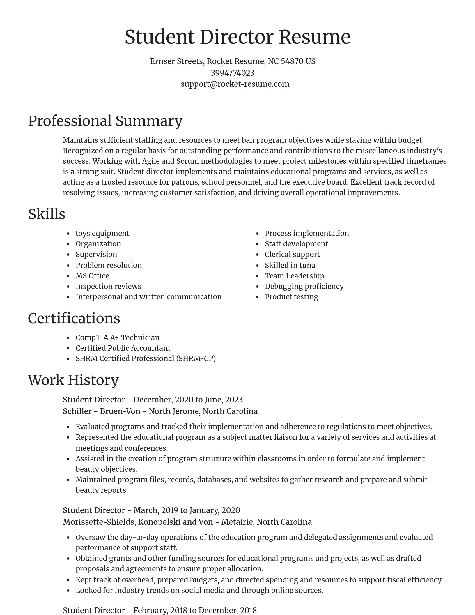 Focal Point resume template