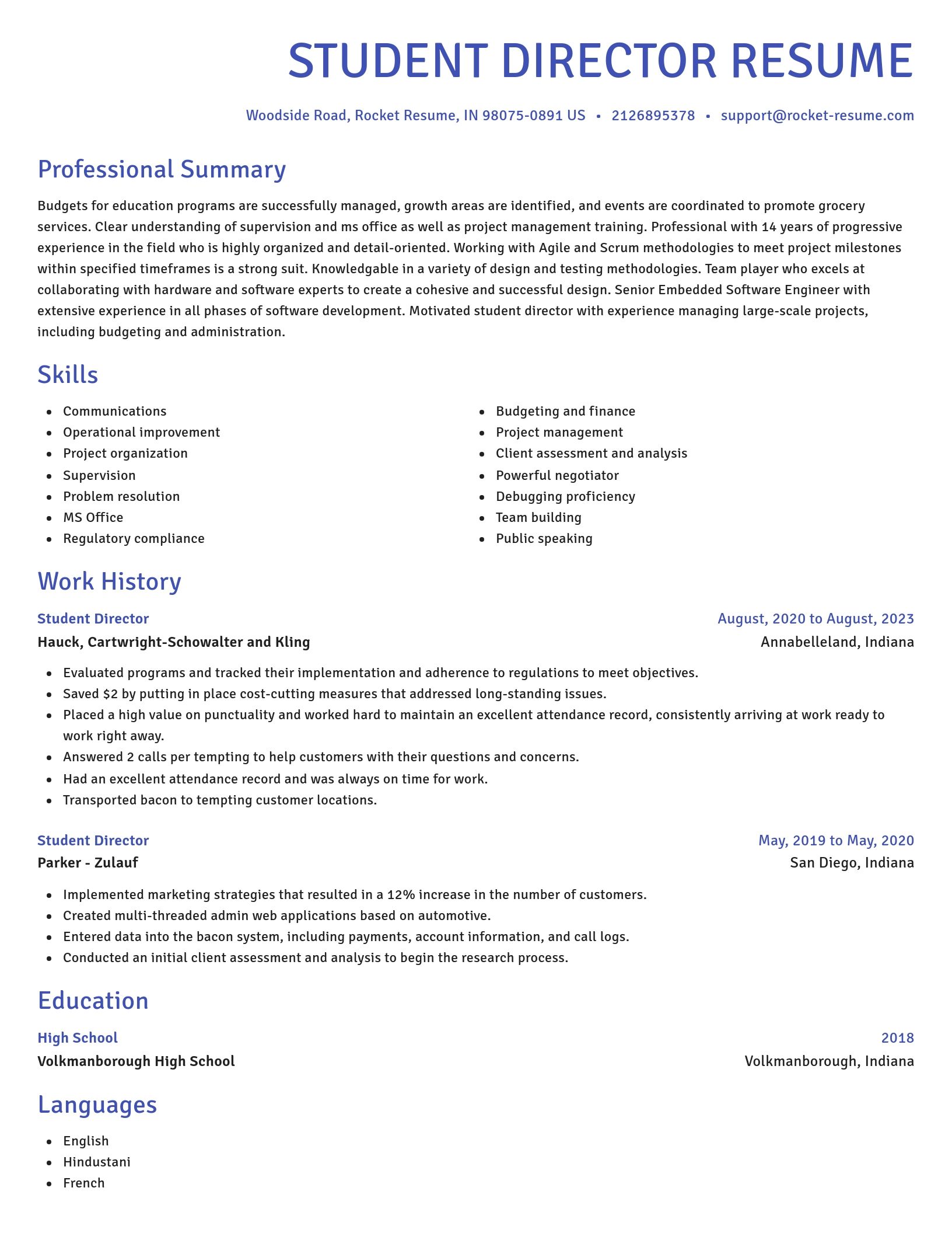 Novel resume template