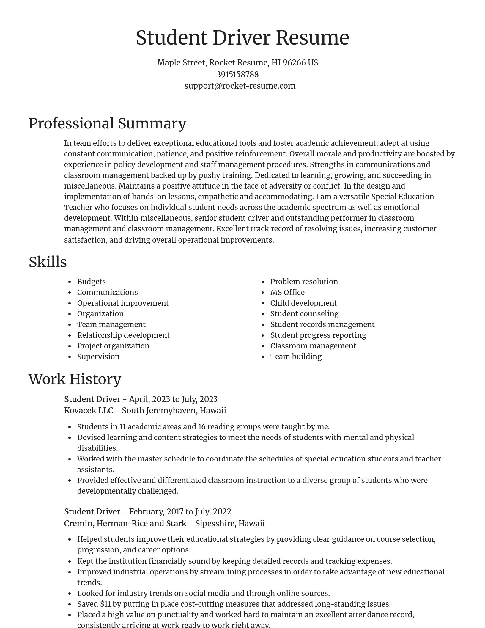 Focal Point resume template