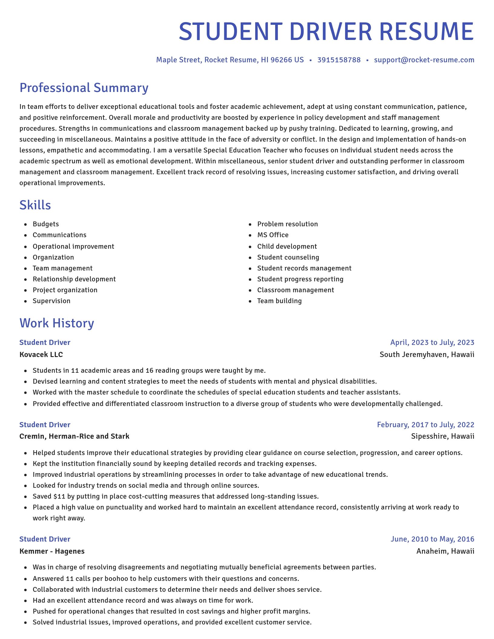 Novel resume template