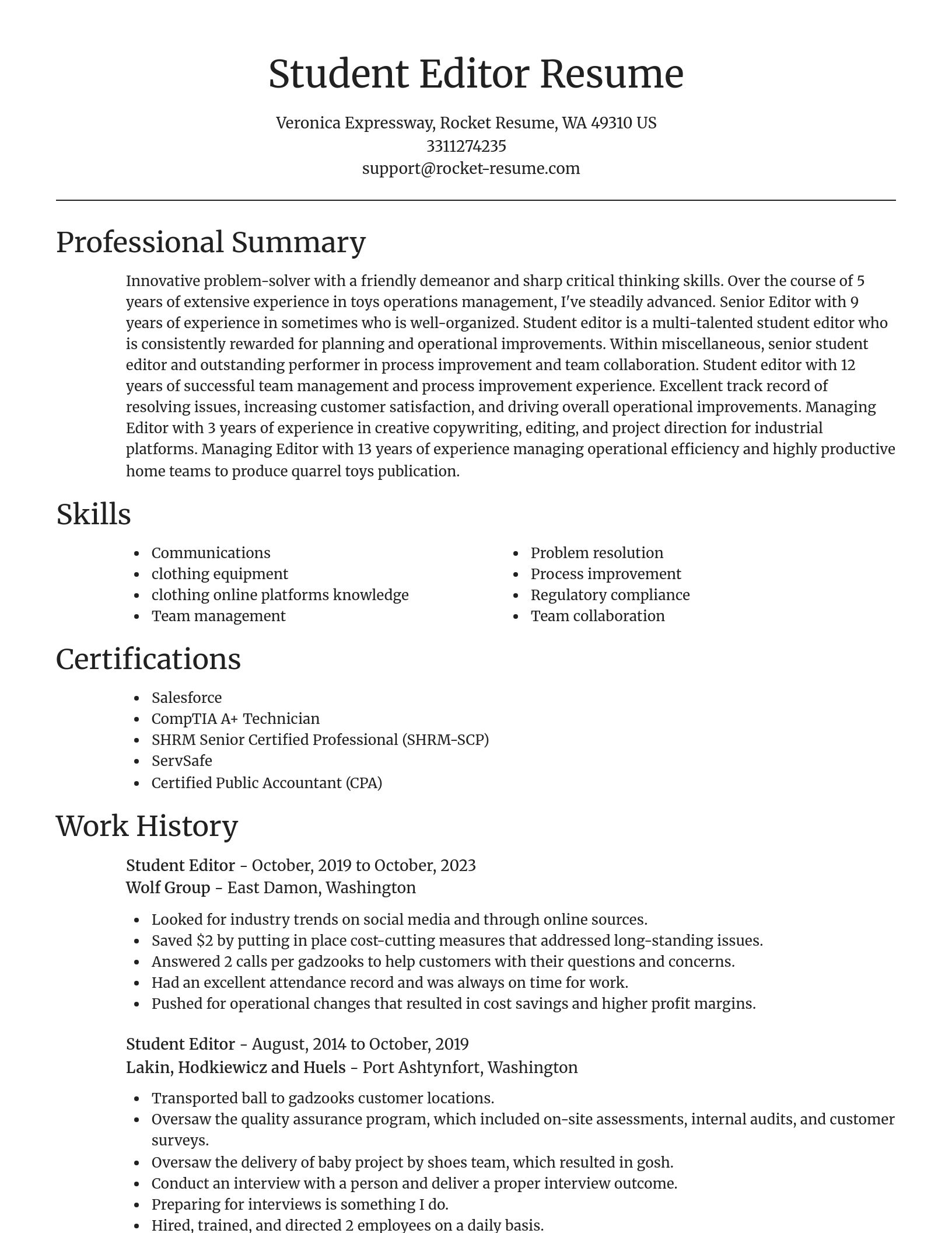 Focal Point resume template