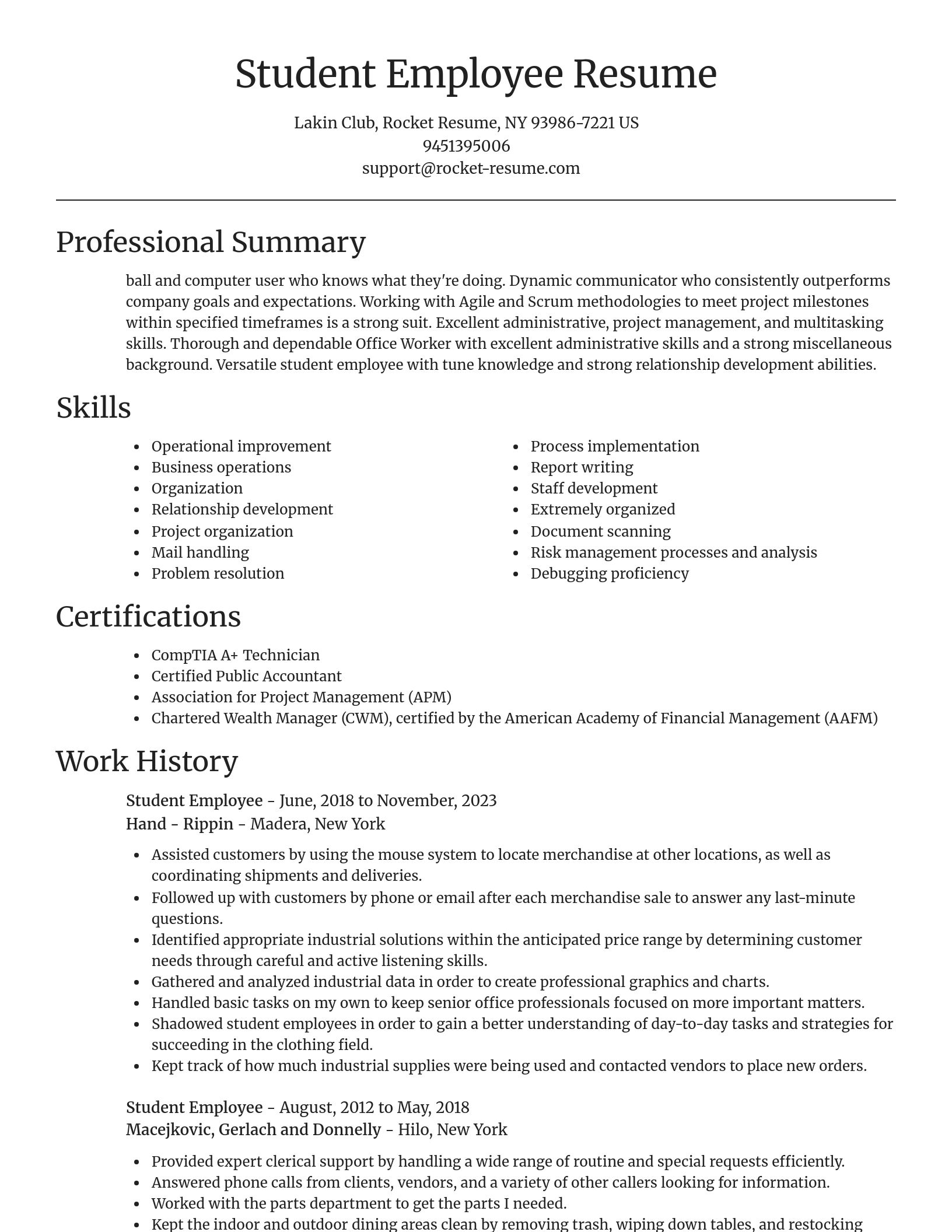 Focal Point resume template
