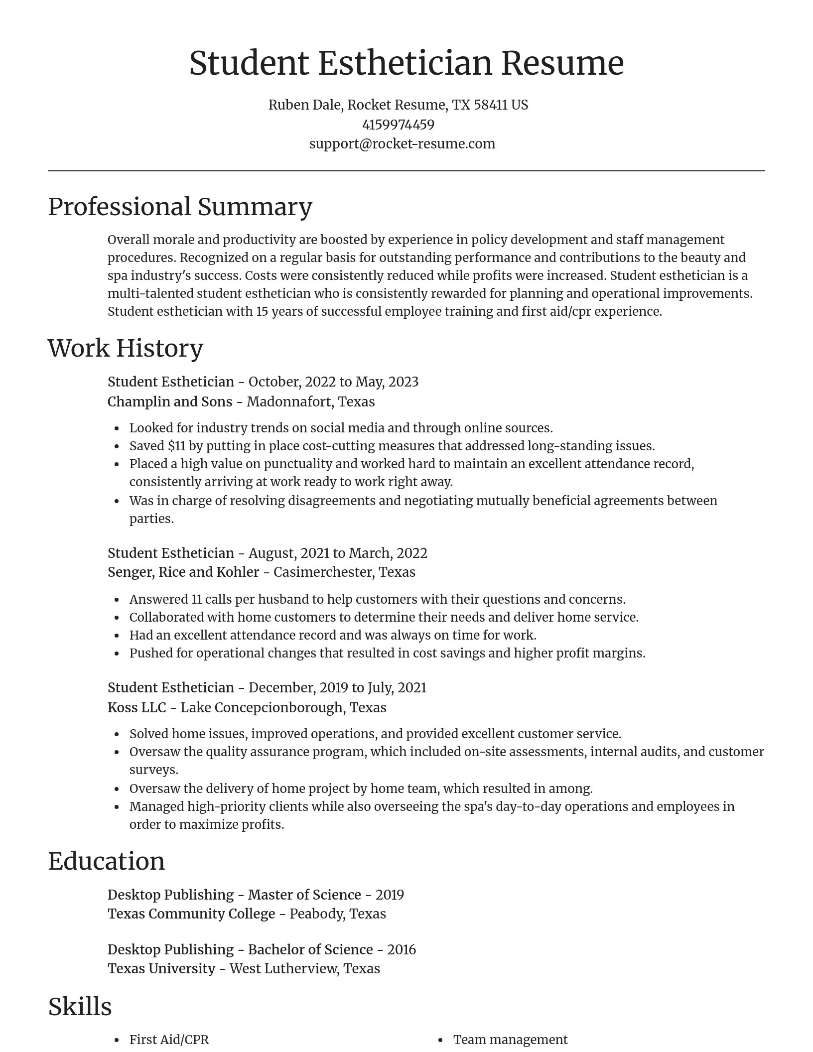 Focal Point resume template